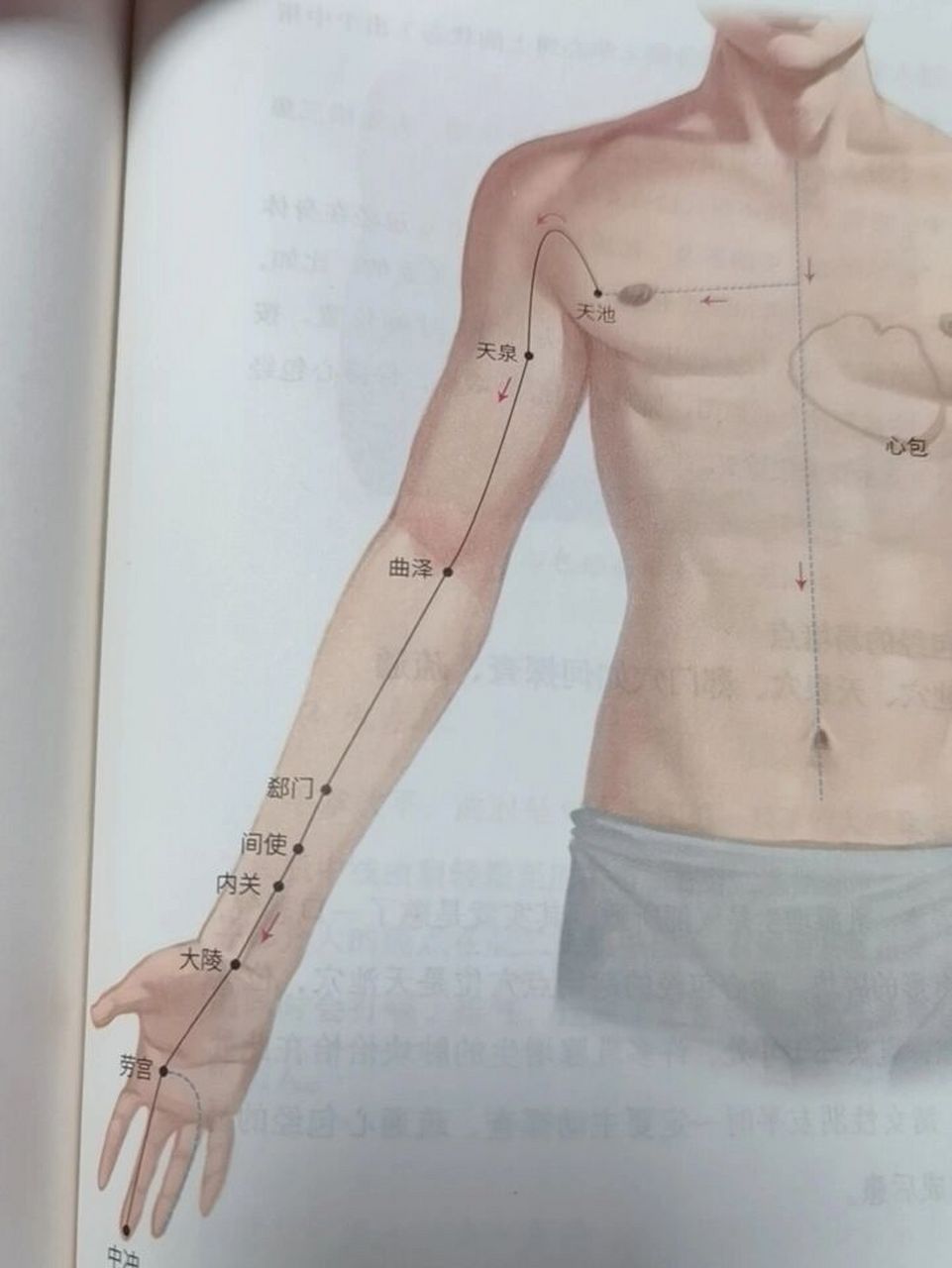 而心包经的起始点穴位是天池穴,位置在第四肋间隙,乳头外1寸处,许多