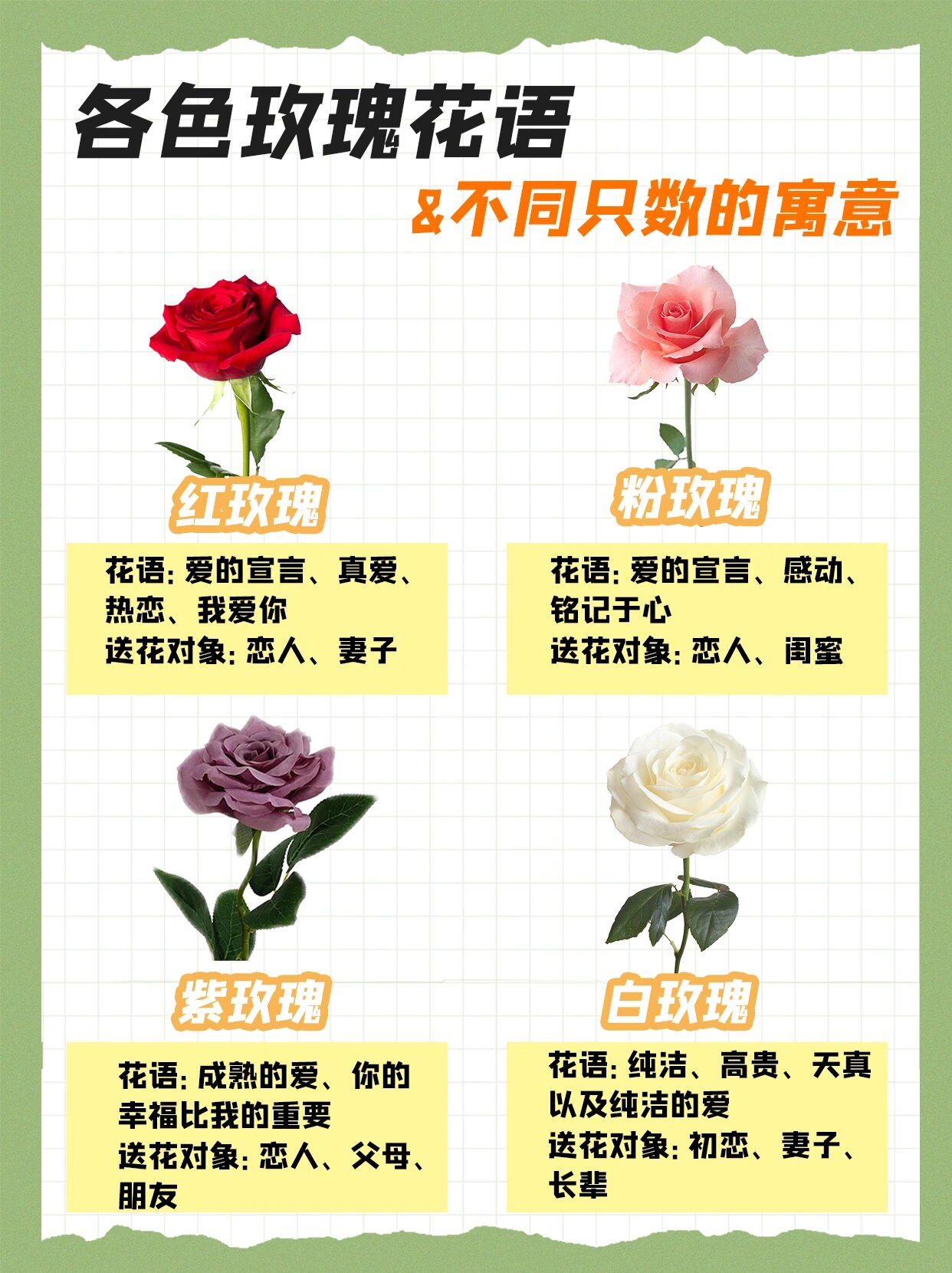 花艺知识|一次性认识不同颜色的玫瑰95