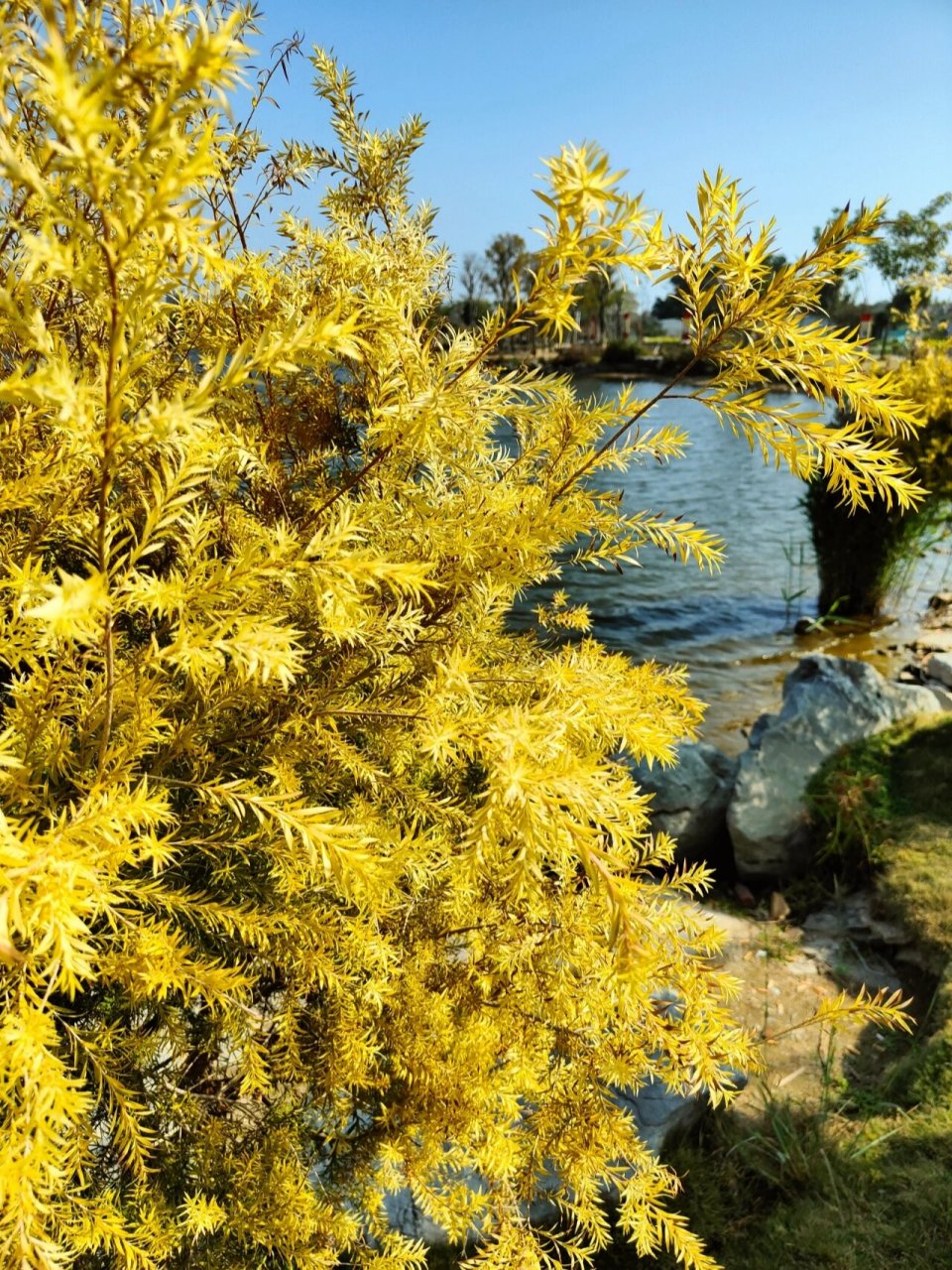 汕头龙湖外砂德居里公园780元遛娃澄海周边 外砂德居里公园,从澄海