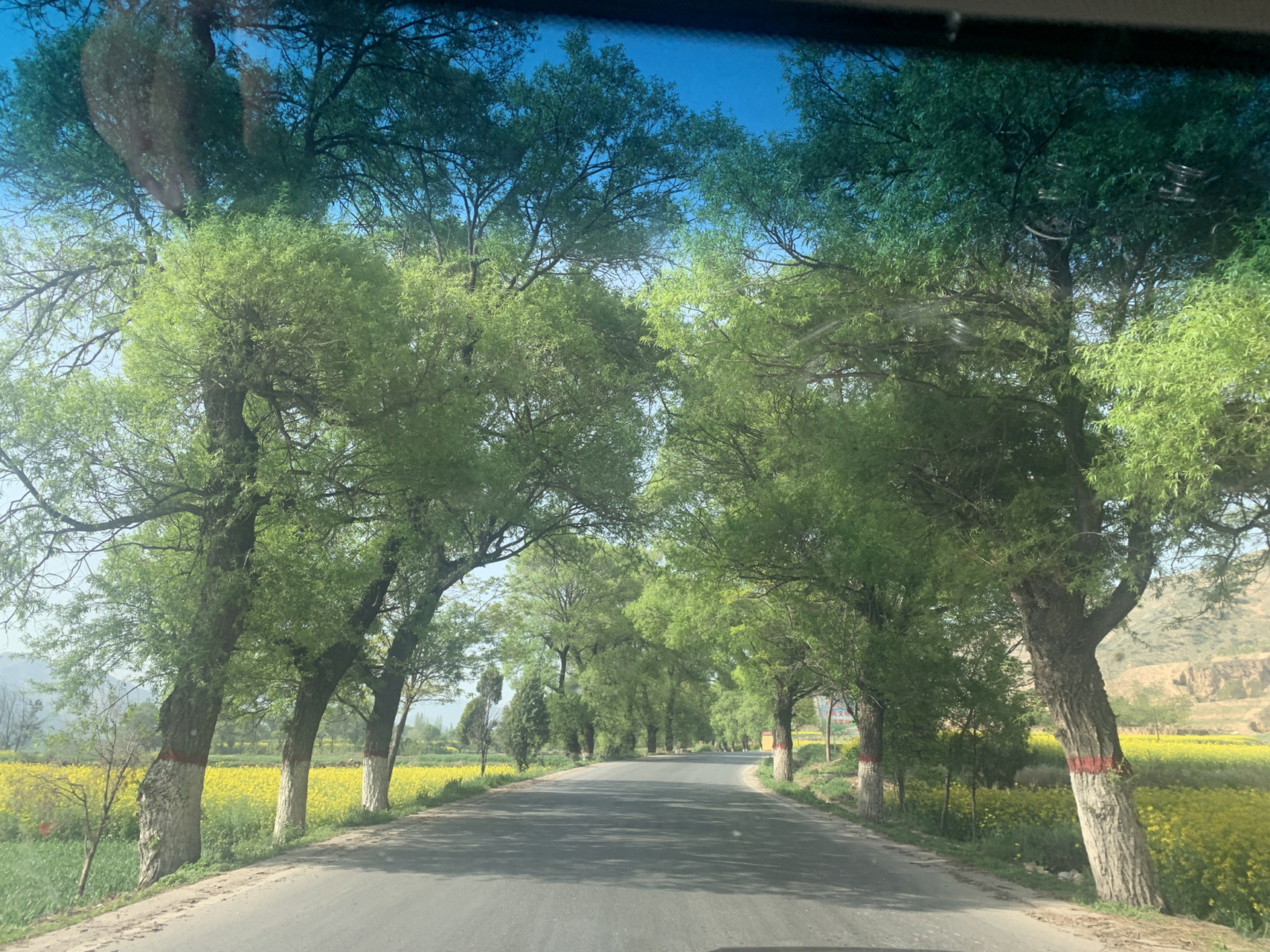 云雾贵清——贵清山 一个人去的,门票加车票35元,车可以开到停车场.