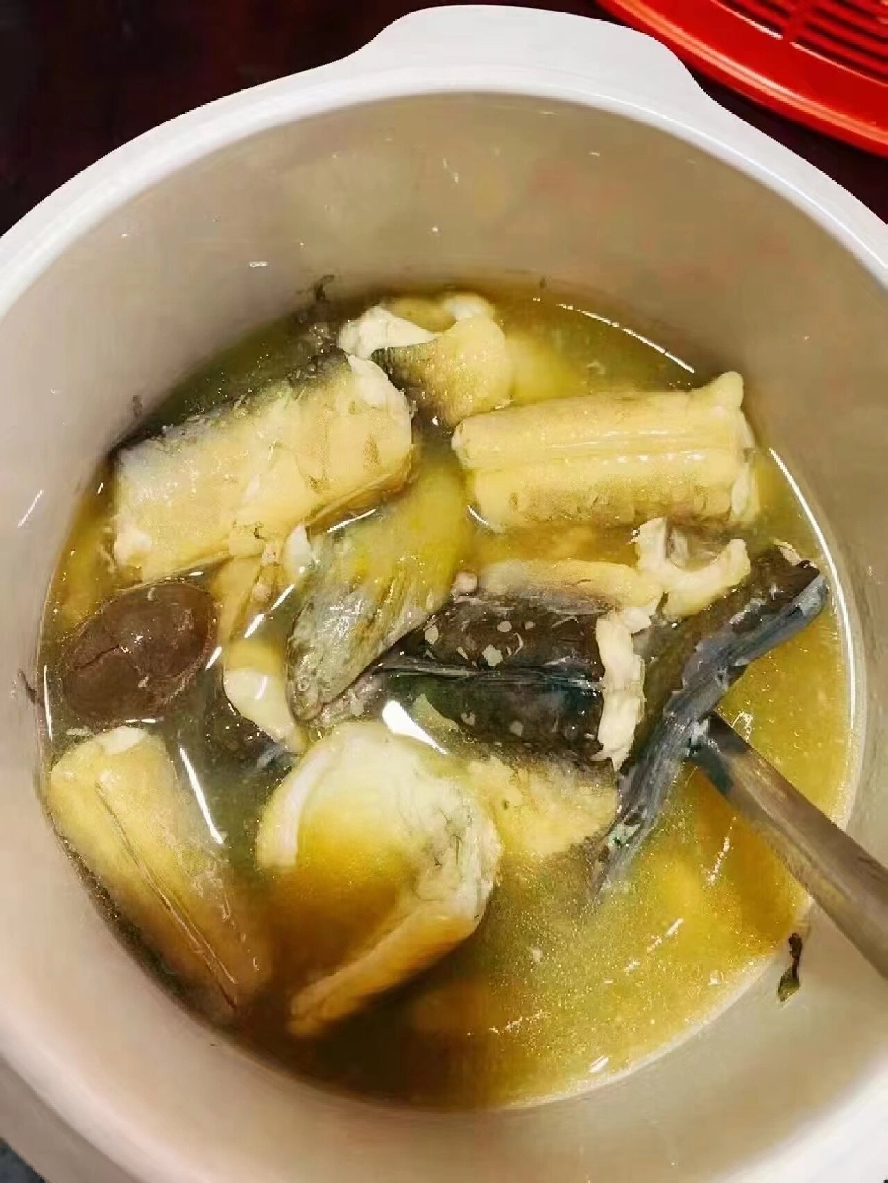 深海野生土龙,滋补壮骨 刚刚代杀好的深海土龙!肉质雪白 品质一级棒!