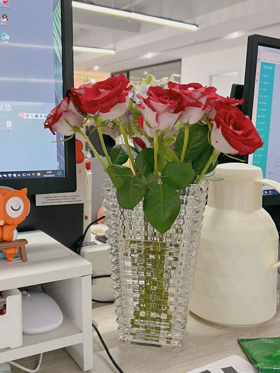 那些我在办公桌上养过的鲜花合集98 // 喜欢鲜花的人一定也很热爱