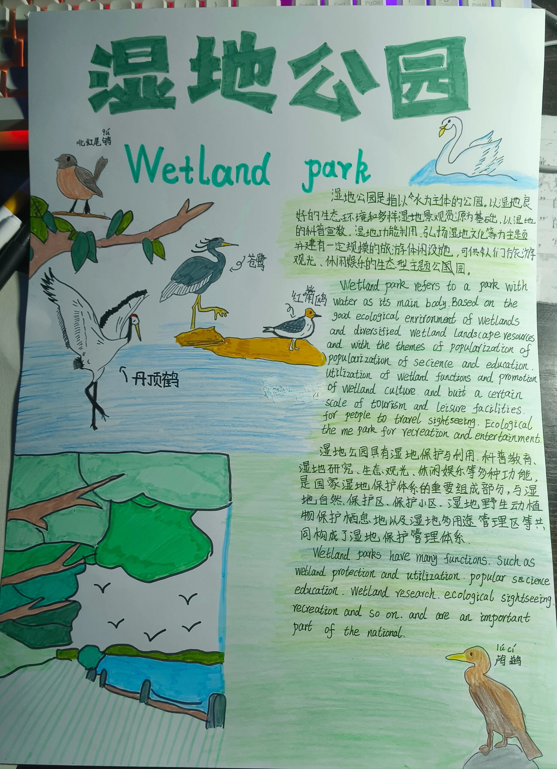 《湿的公园》英语手抄报