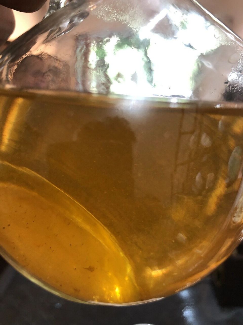 普洱茶树花 普洱茶树花为常见茶饮,茶汤呈蜜黄色,晶莹剔透,气味芳香