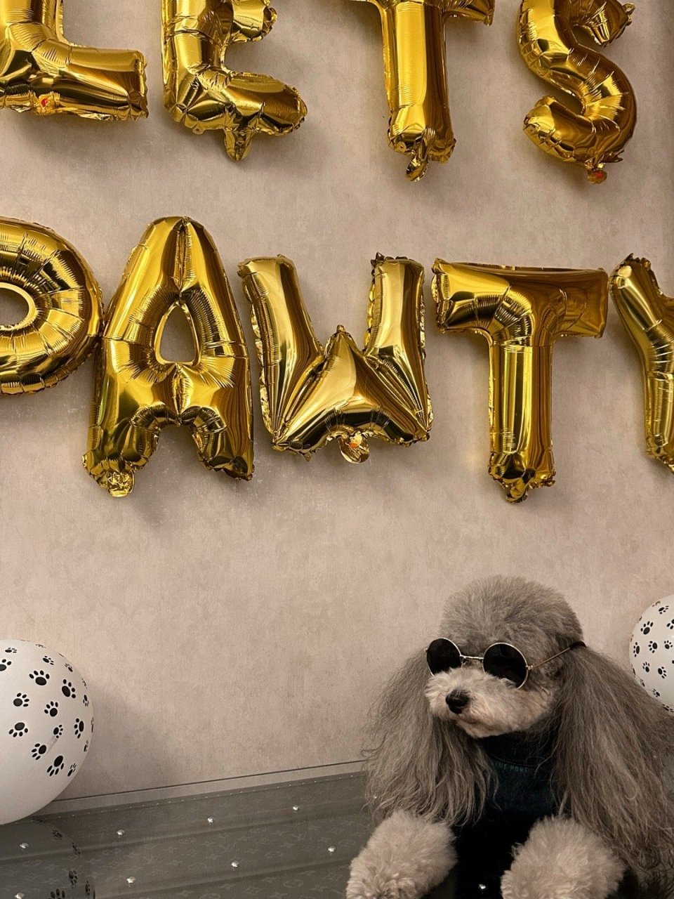 九岁喽～奥斯卡～～生日快乐98