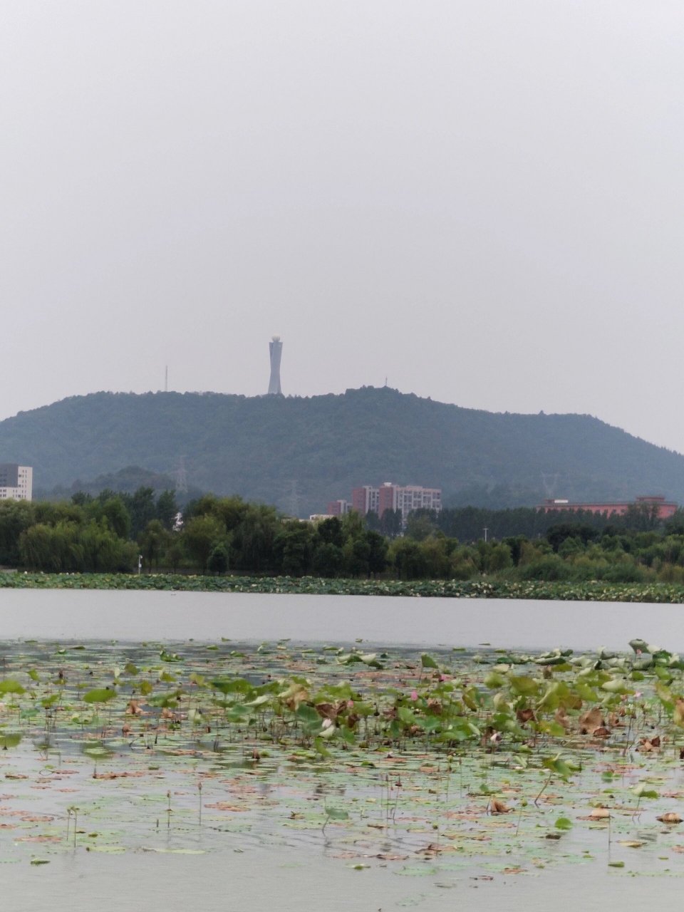 江夏中央大公园