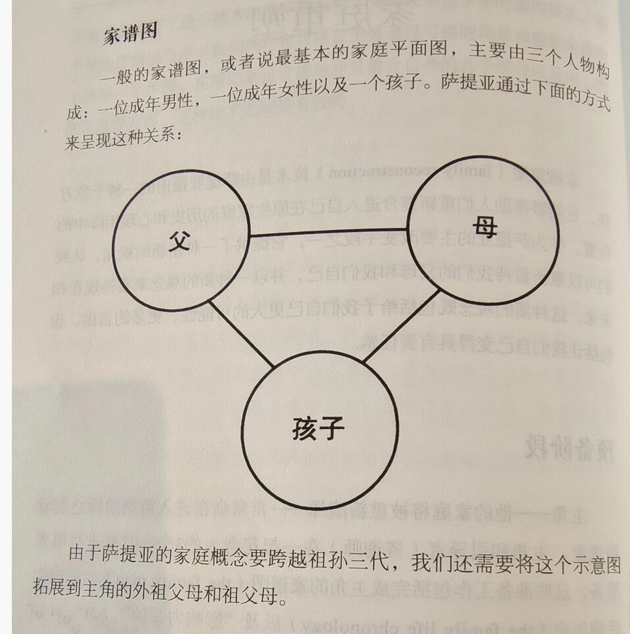 萨提亚家谱图怎么画图片