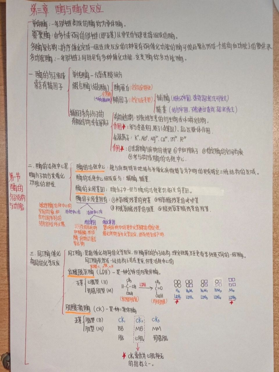 生化思维导图(第三章 酶与酶促反应)