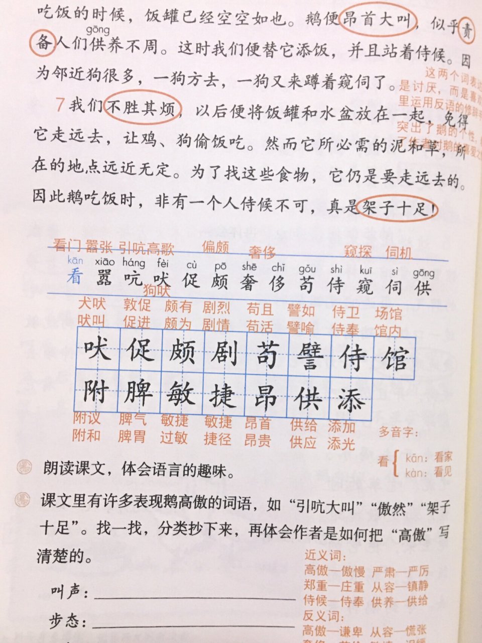 《白鹅》生字图片