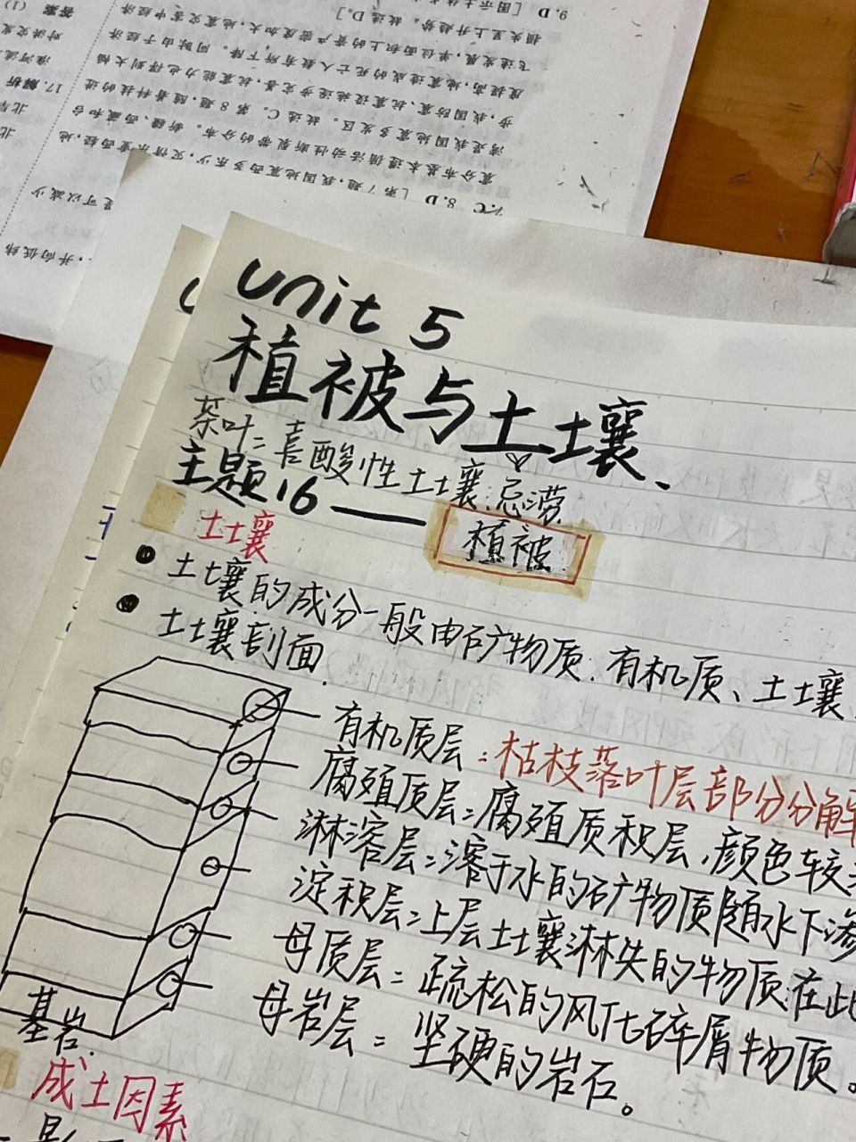 高一地理第五单元复习笔记|植被与土壤