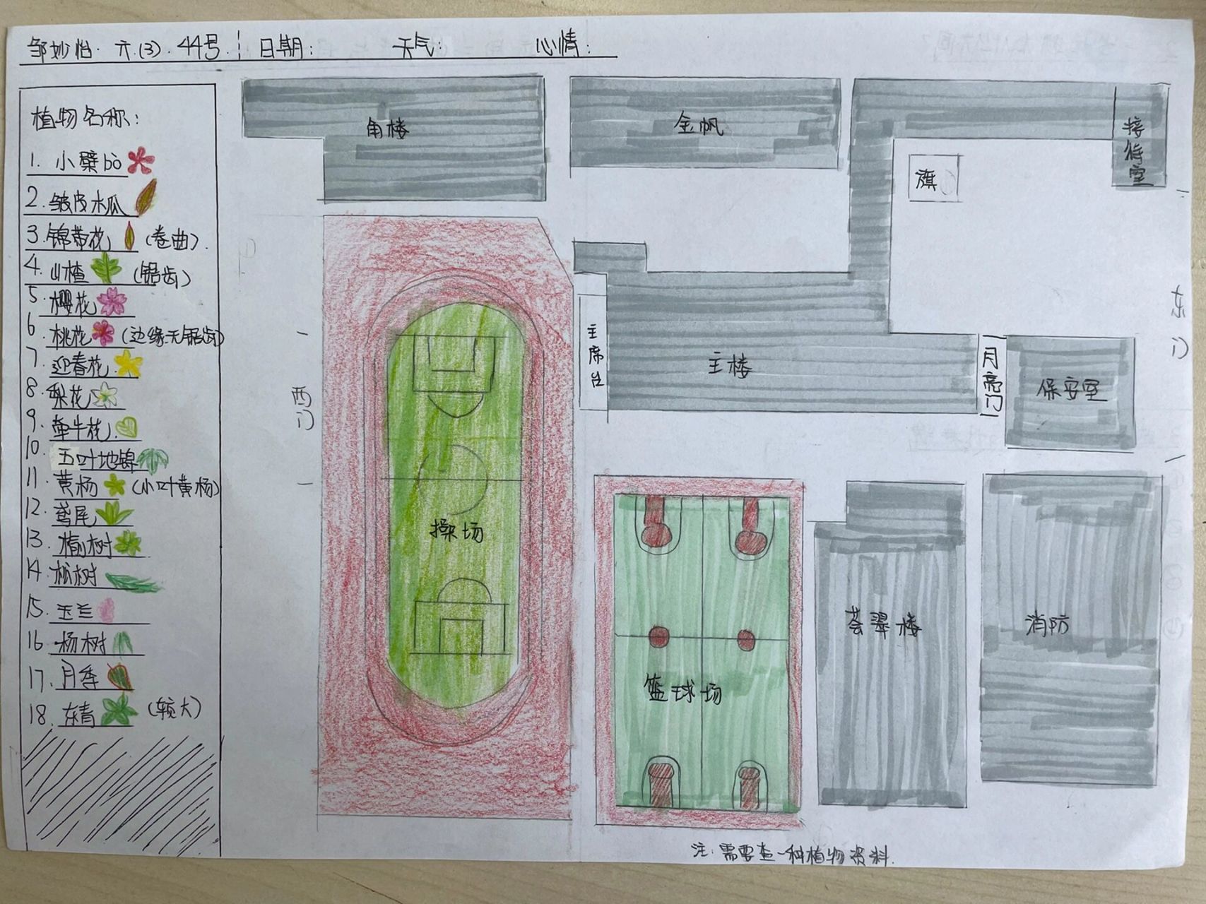 讲到了应用比例尺绘制校园平面图,使用数学课绘制的平面图就可以直接