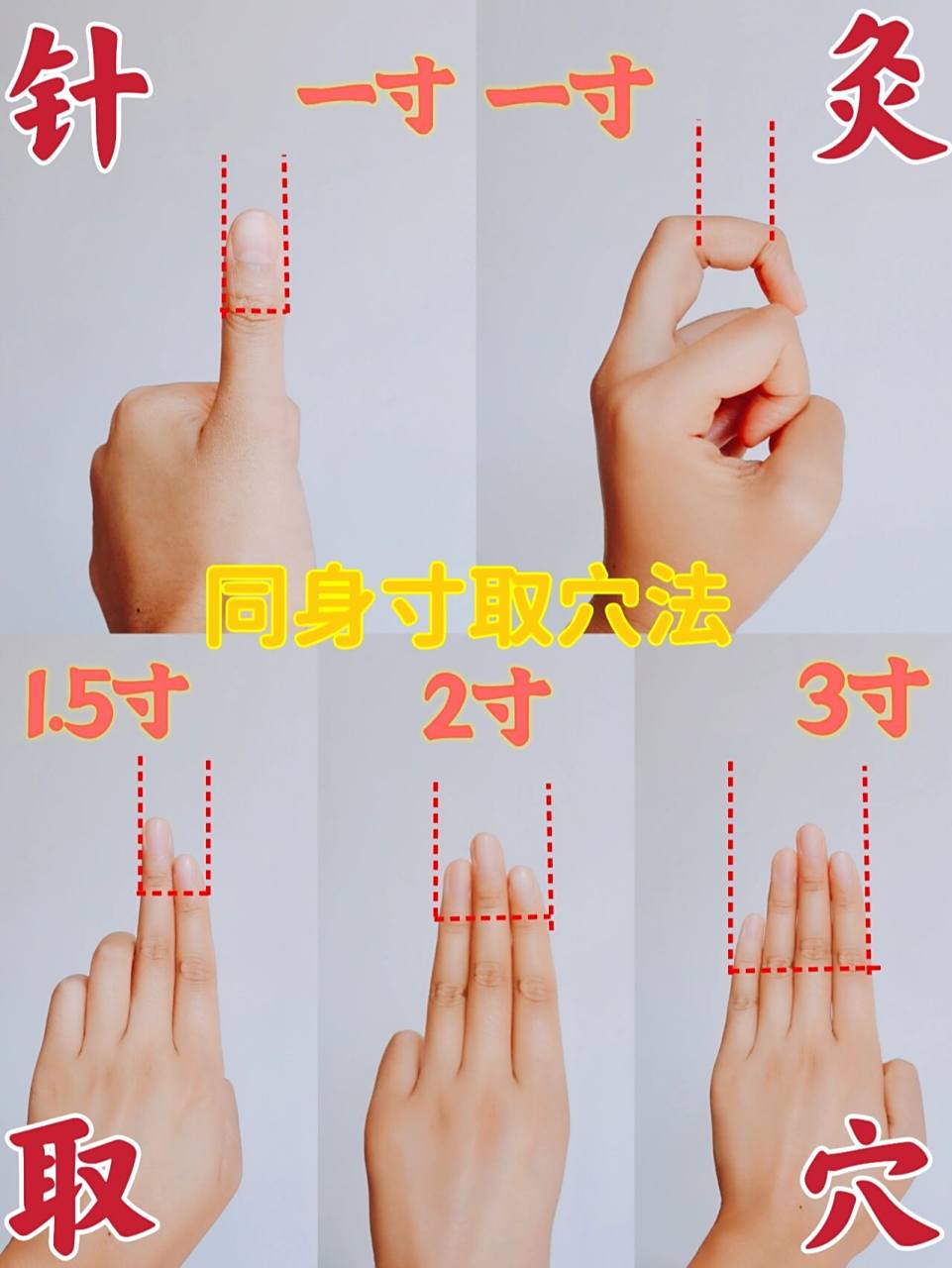 比如:自己的一寸,就是大拇指,第一指节宽度为同身一寸.