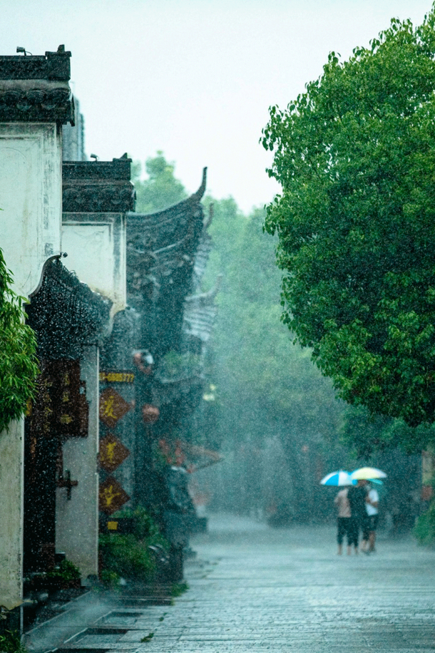 夏天的"豪雨"是明亮的,丰满的,让人感觉到雨的热情