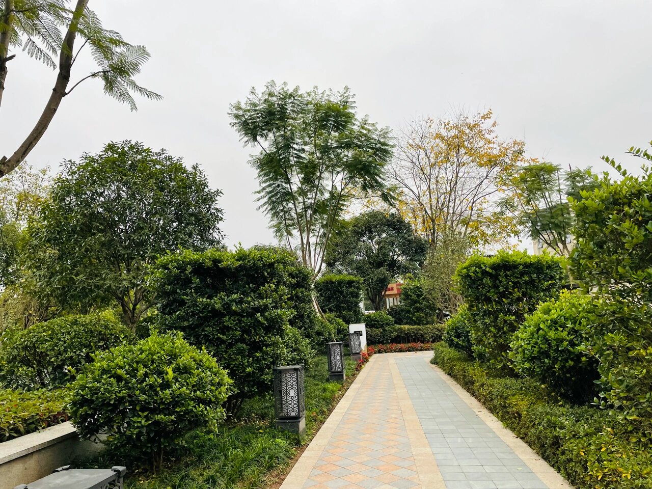 重庆访校:打卡重庆巴蜀常春藤学校