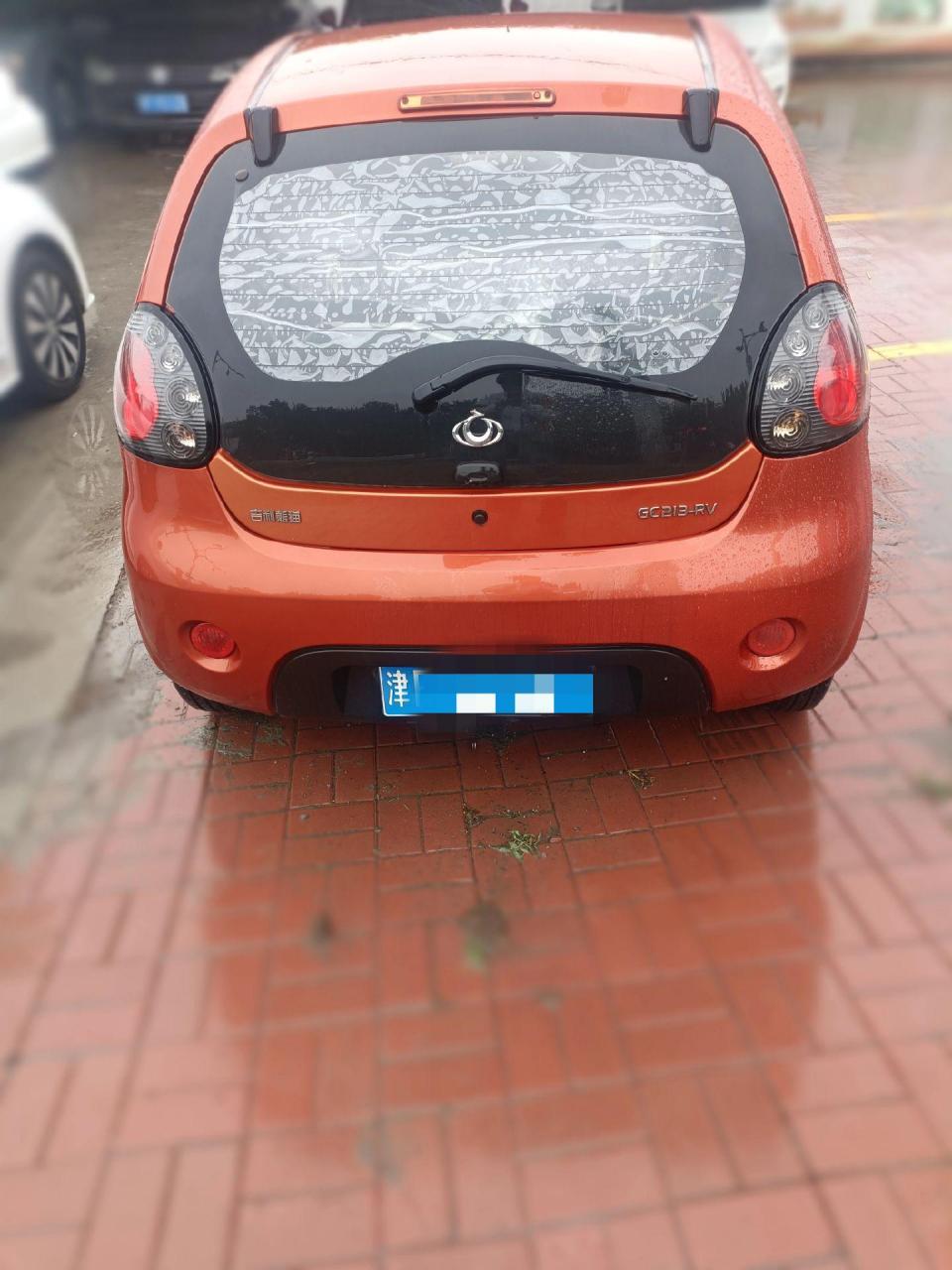 最新拿下2014年女士国宝小熊猫  1.