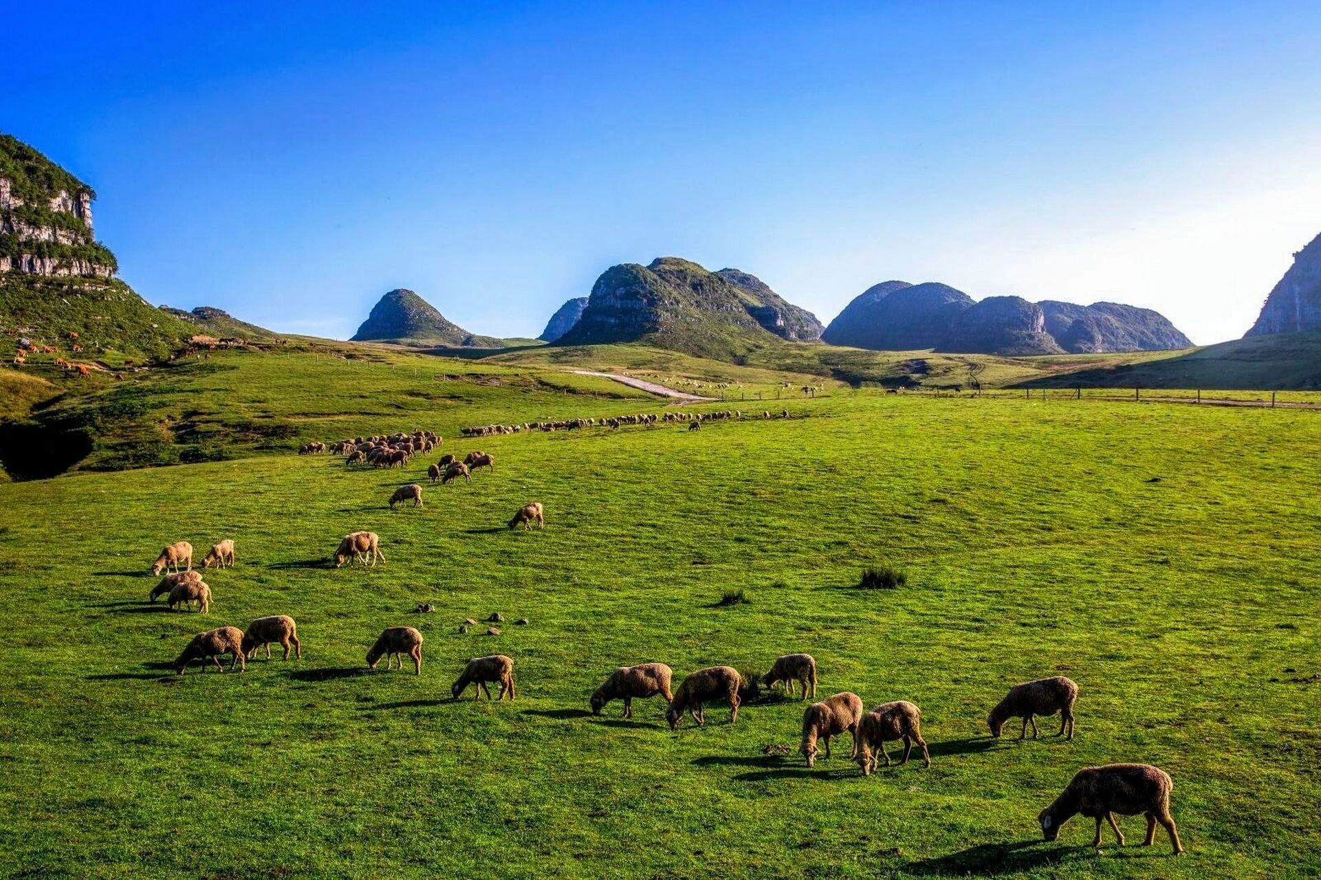 【每日一景】阿西里西大草原—解锁星空露营 94"没有一个生命因为无