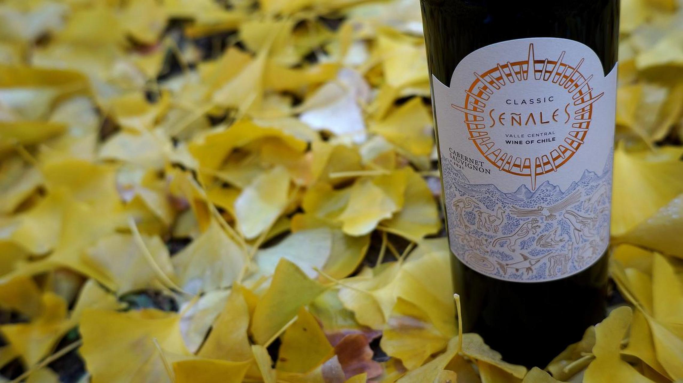 美酒和冬日落叶搭配一起好出片啊～红酒为我开 红酒聚乐部 冬天美酒