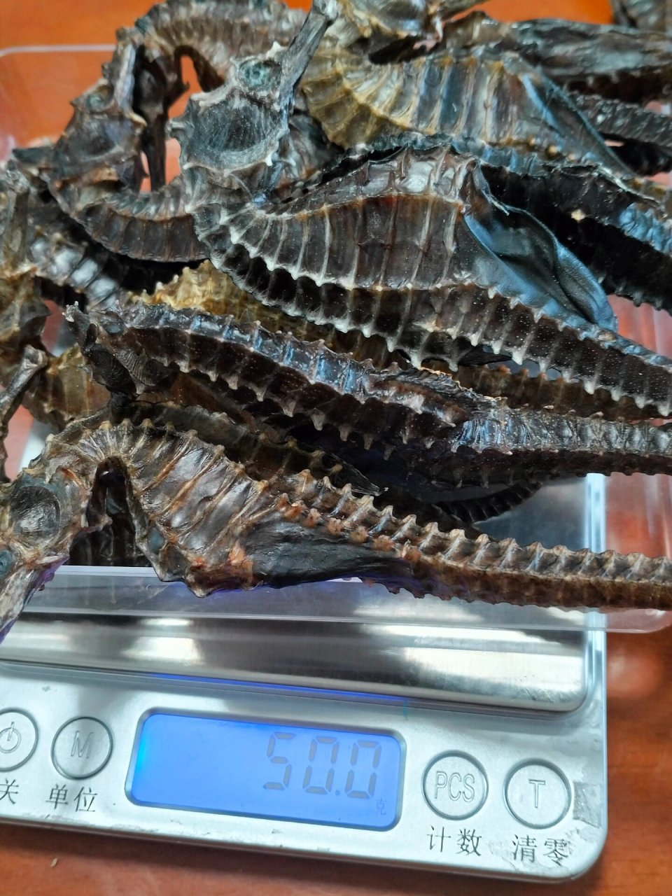 线纹海马# #海马三七增高汤# #谭门港# #海马酒# #海南海马