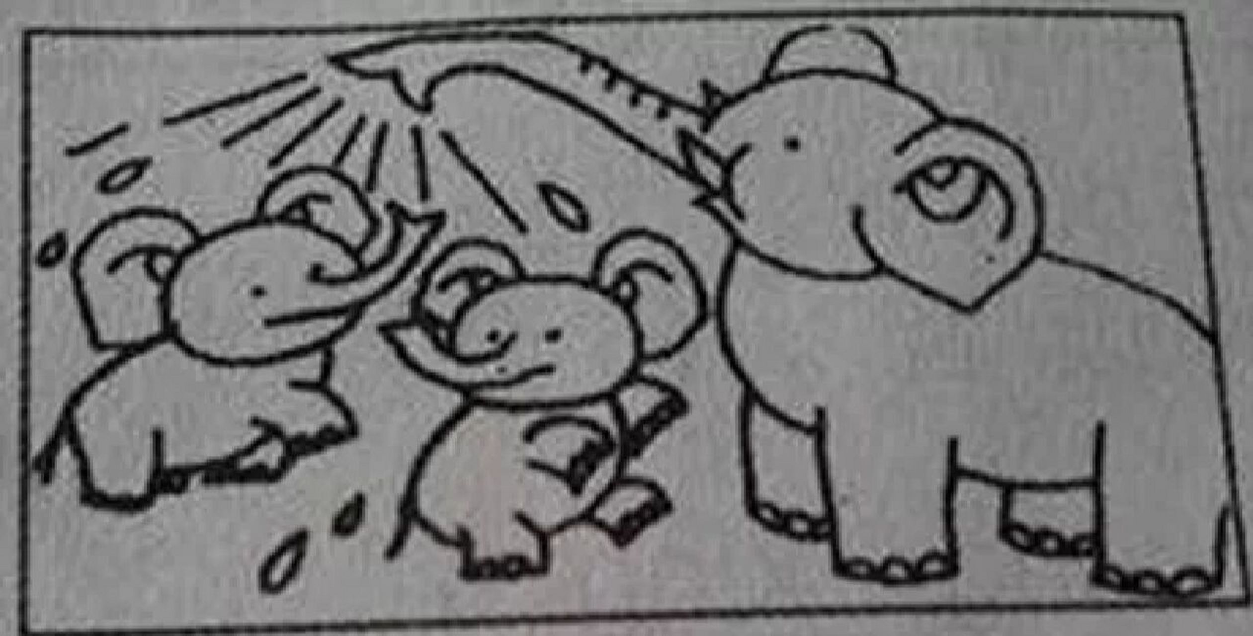 小象洗澡 今天,天气晴朗,大象妈妈带着两个可爱的象宝宝来到河边洗澡