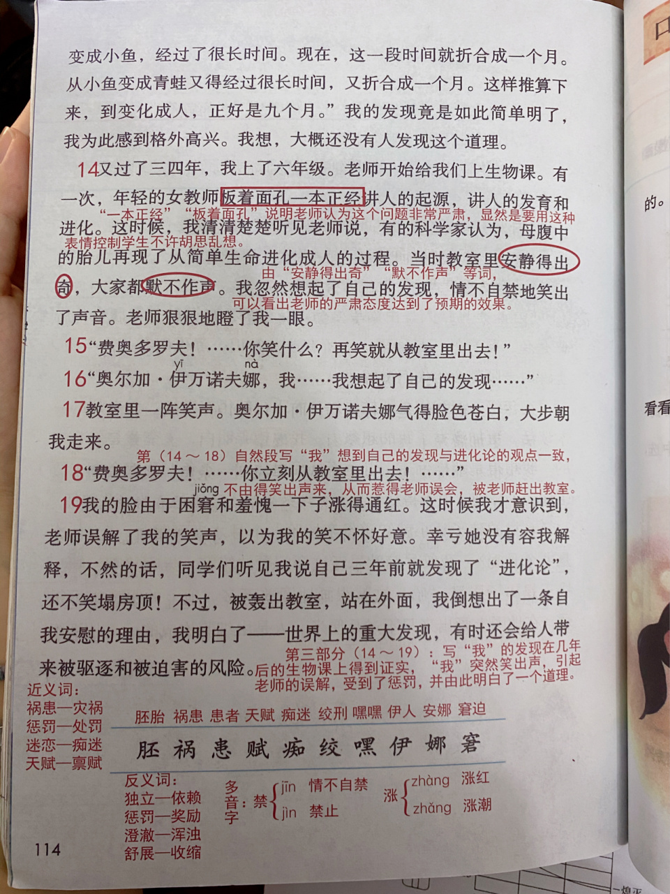 童年的发现课文图片