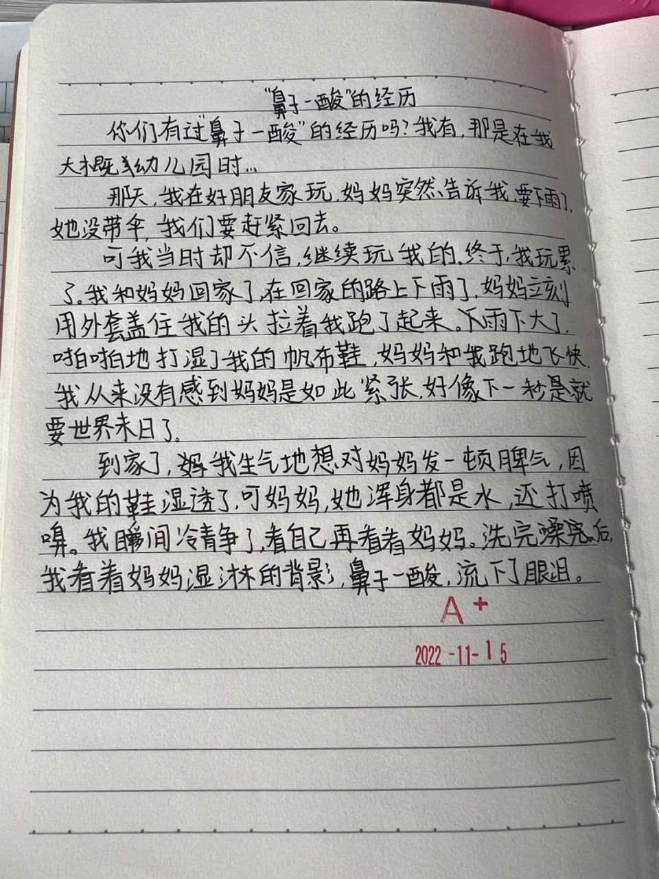 小练笔一张照片300字图片