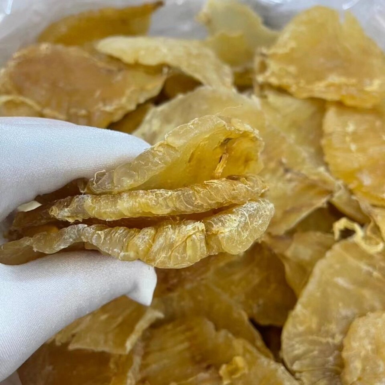 芽鳘鱼胶7-8头 足干年份老货,吃老胶一斤顶三斤新胶 超级漂亮双芽鱼胶