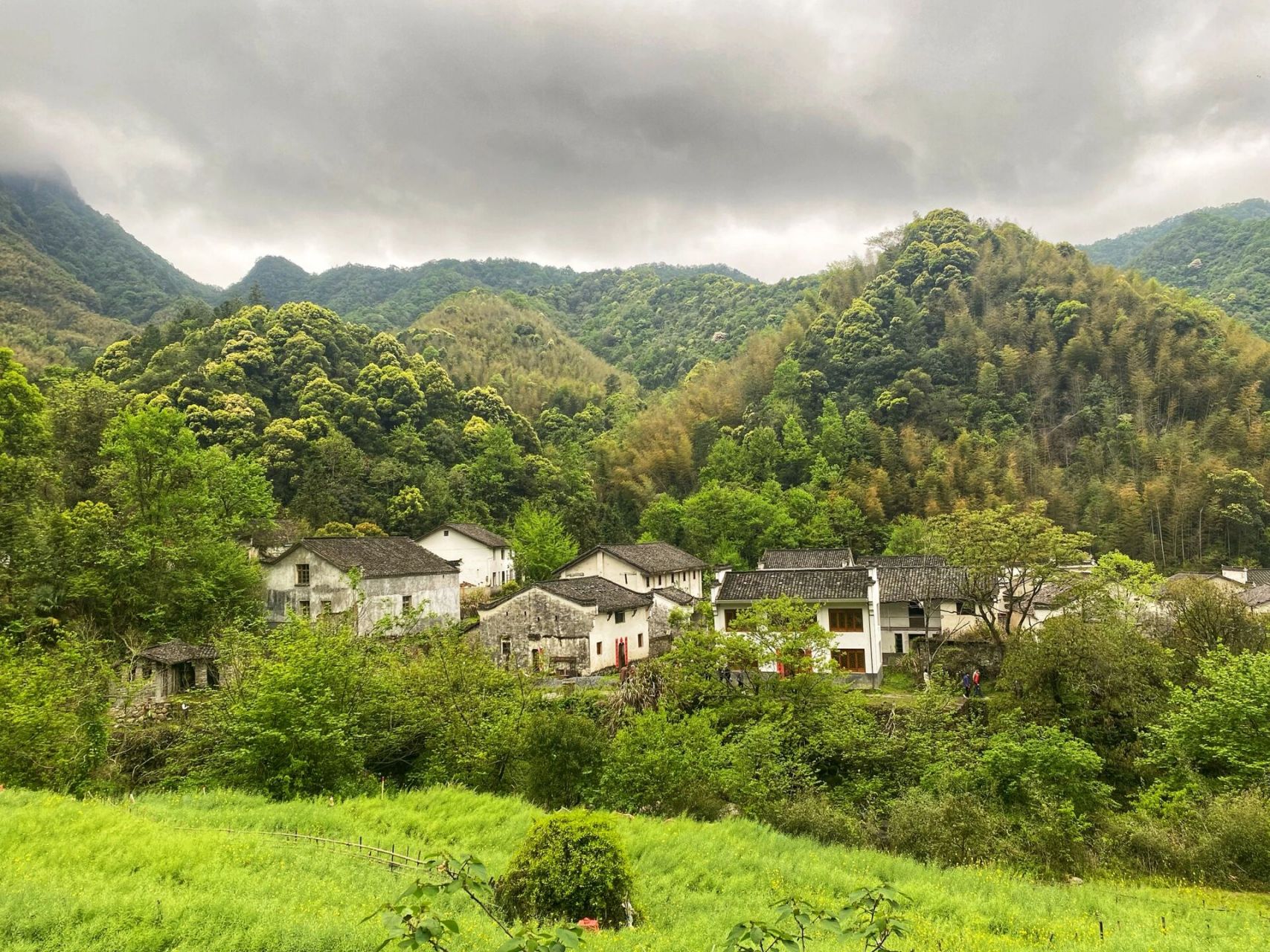 池州石台白石岭攻略,带你拨草白石岭    1. 白石岭怎么去?