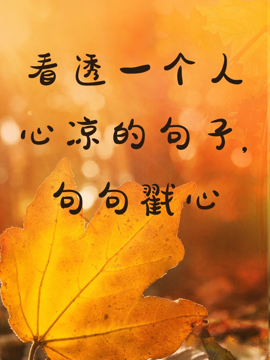 适合发朋友圈看透人心的句子经历了一些事看透的简单介绍