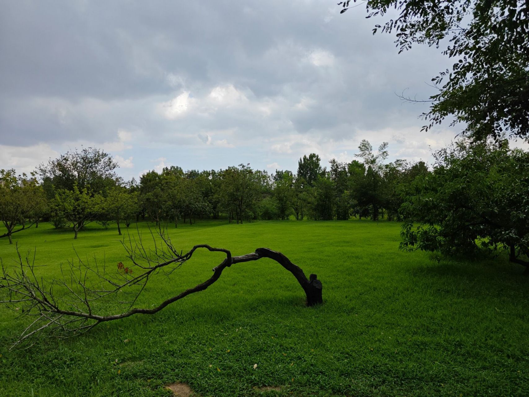 即墨马山公园一日游 出发时间:上午9点左右(因为我们住的离马山公园不