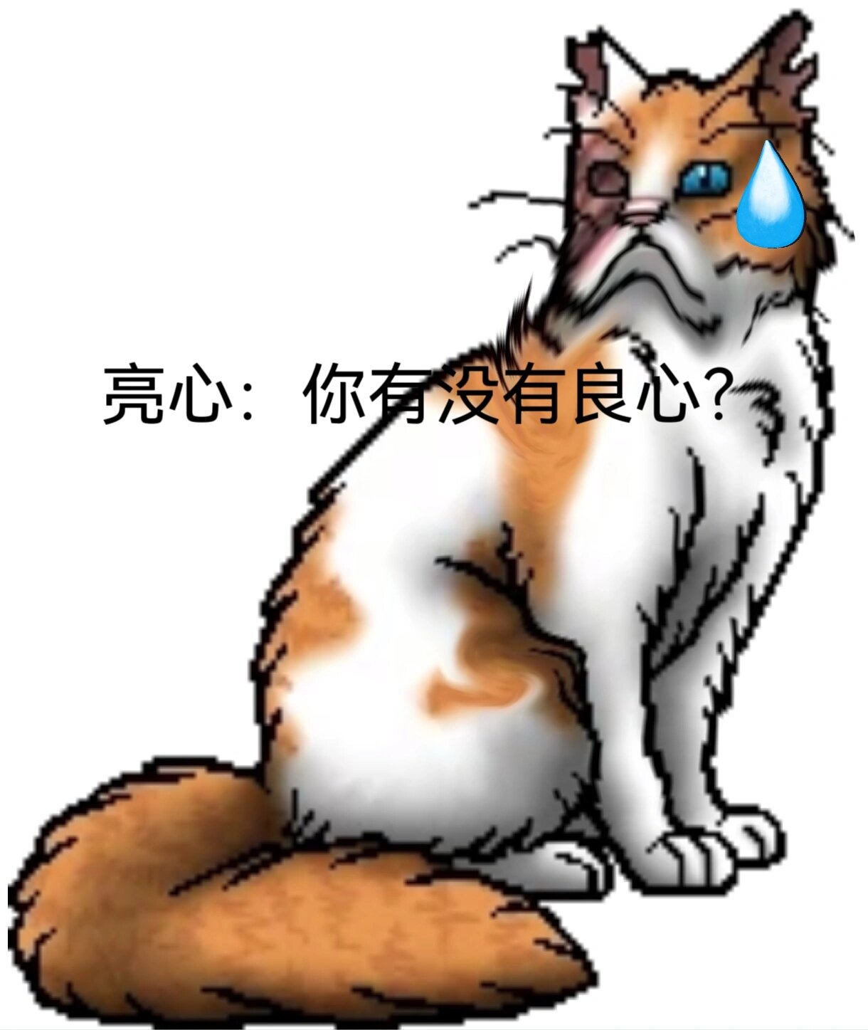 猫武士表情包