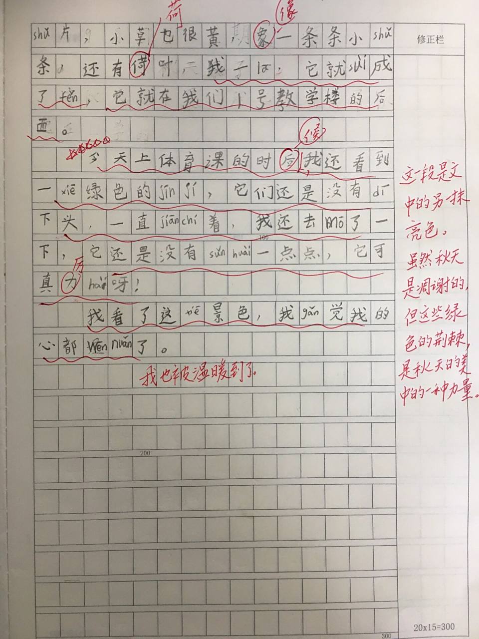 小学生优秀作文:三年级写景日记《秋天来了》