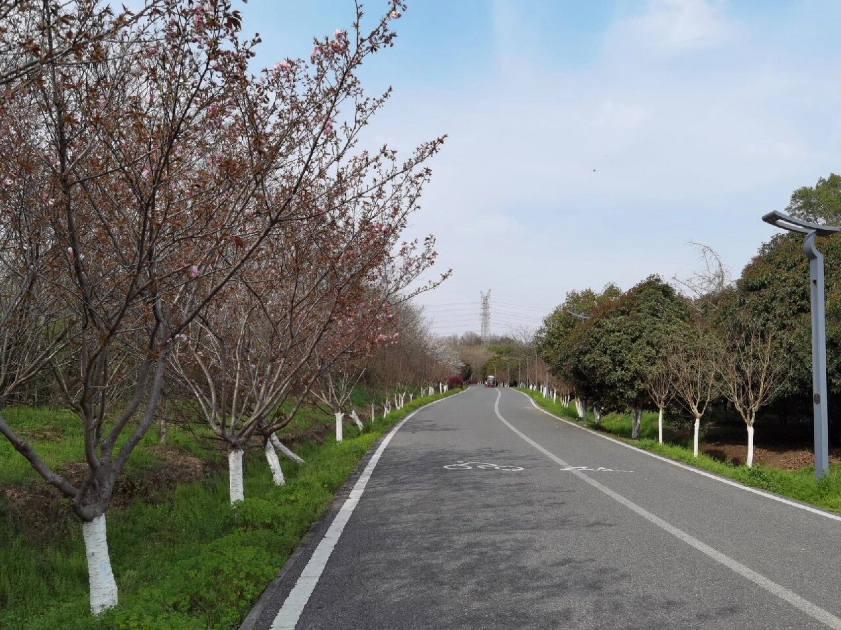武汉后官湖湿地公园,位于武汉市蔡甸区后官湖畔,占地总面积约530公顷