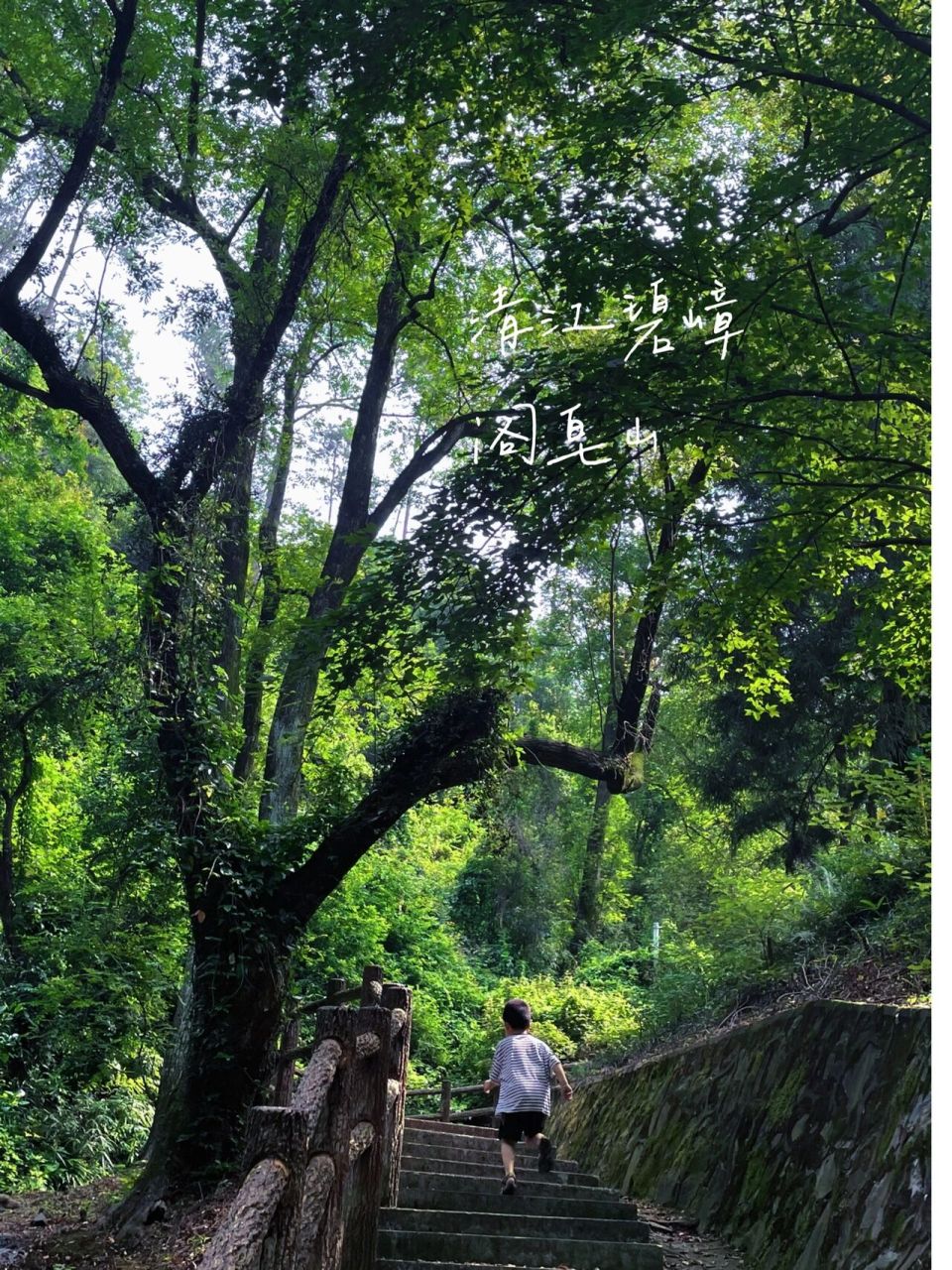 有一座海拔不到千米的山岭,绵延200余里,峰回峦复,古竹苍松,名为阁皂