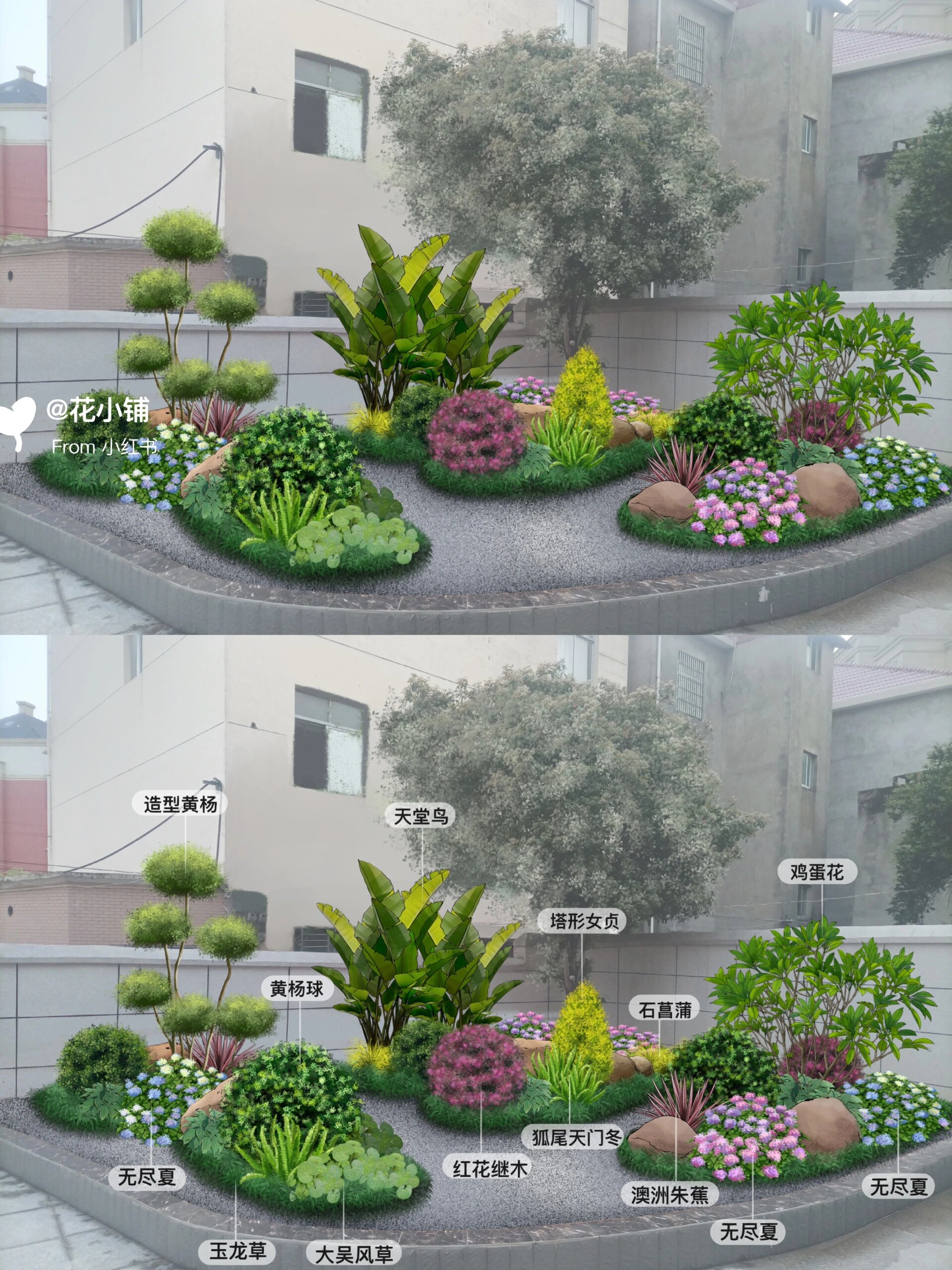 别墅花园/花池花境植物景观设计