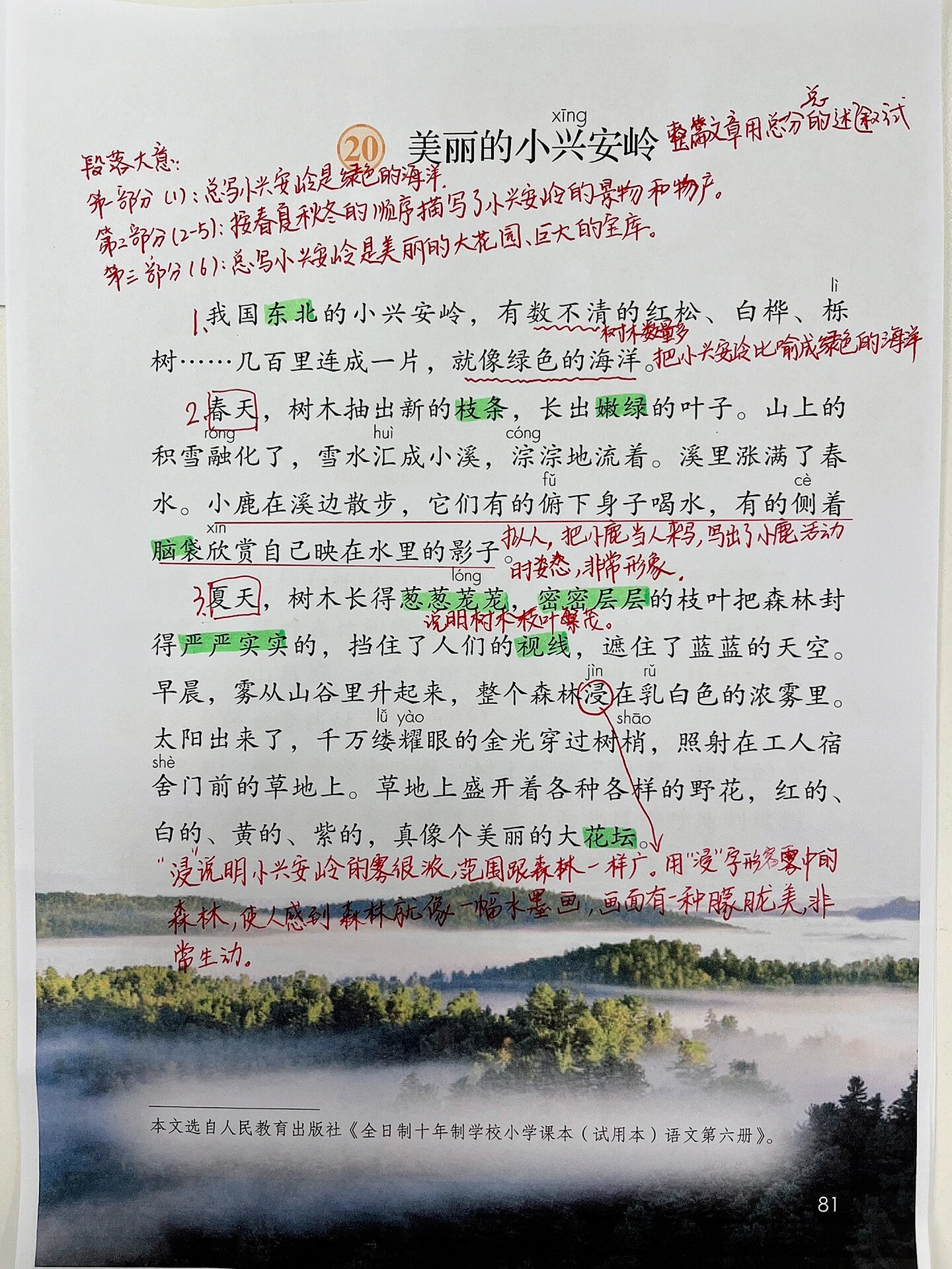20课《美丽的小兴安岭》