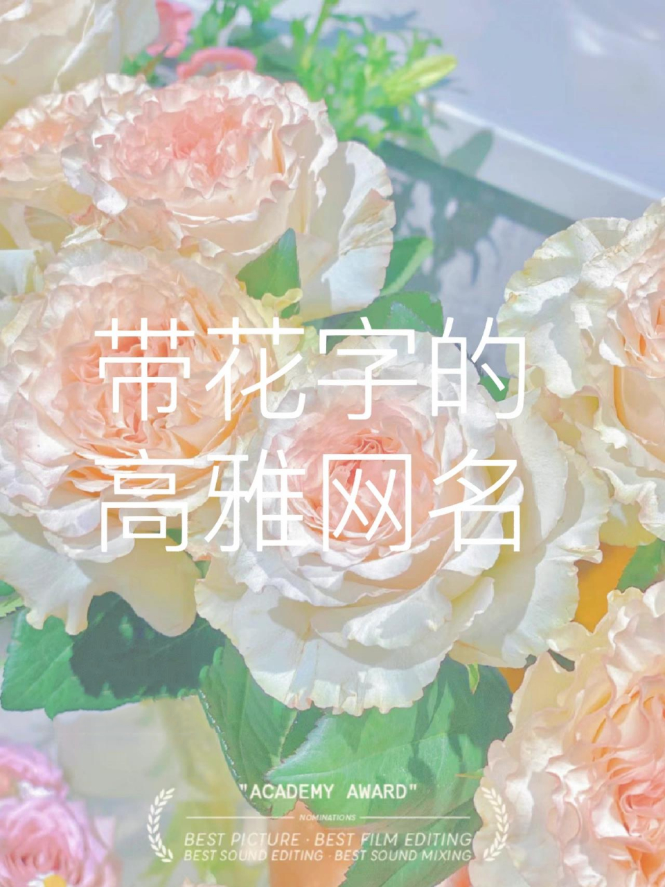 带花字的高雅网名78           带花字的高雅网名78