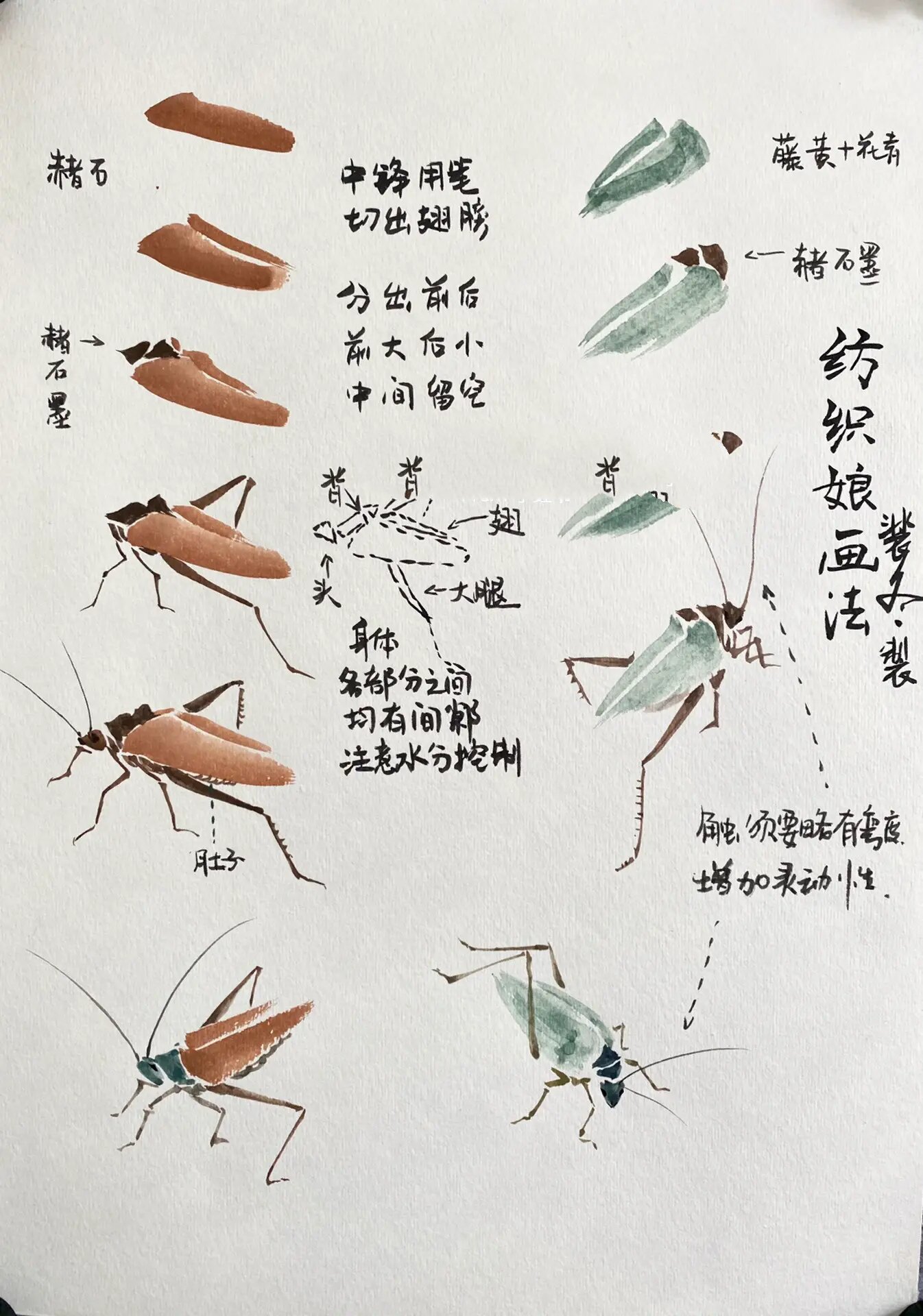 《从零开始》国画写意篇