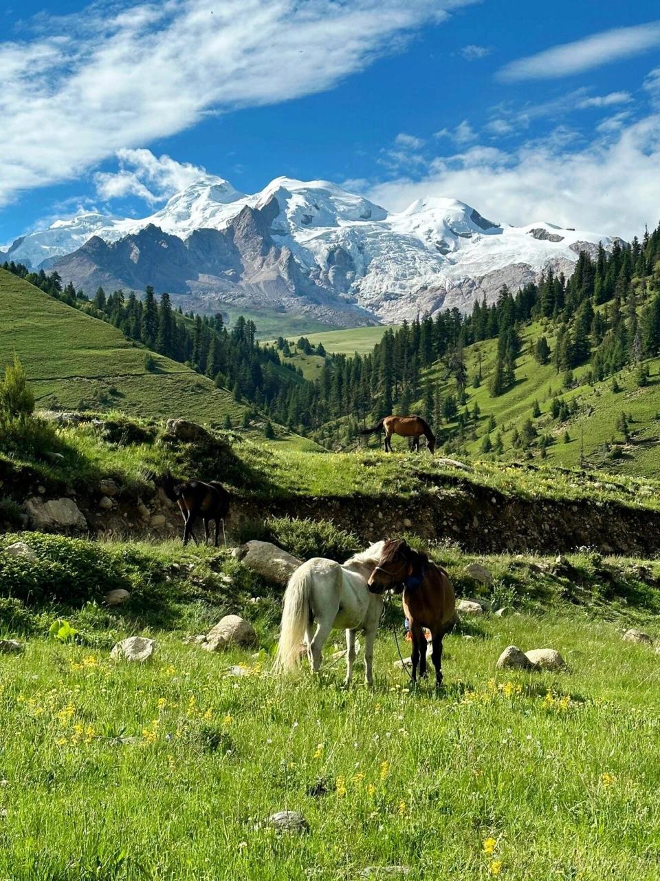 格聂神山|"横断之心" 格聂神山|"横断之心" 格聂山又名格聂神山,雄踞