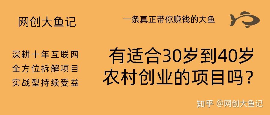 农村开店创业项目(农村创业开什么店好)