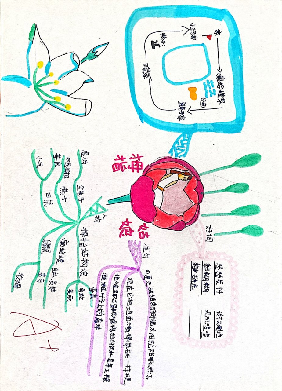 安徒生童话 拇指姑娘三年级开始慢慢学着画思维导图