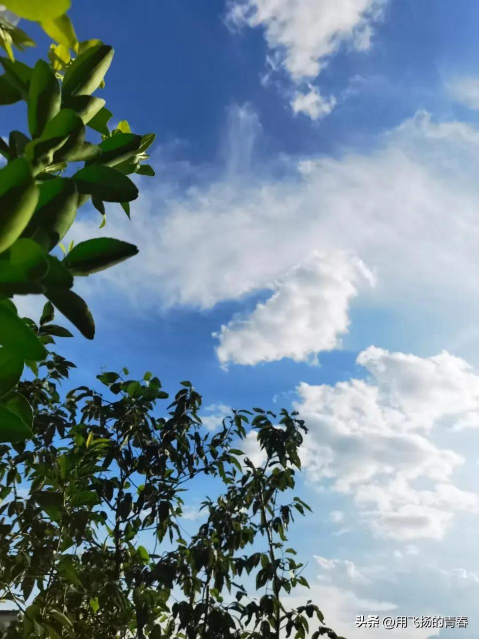 成都头条 成都天空美景  美丽 大成都