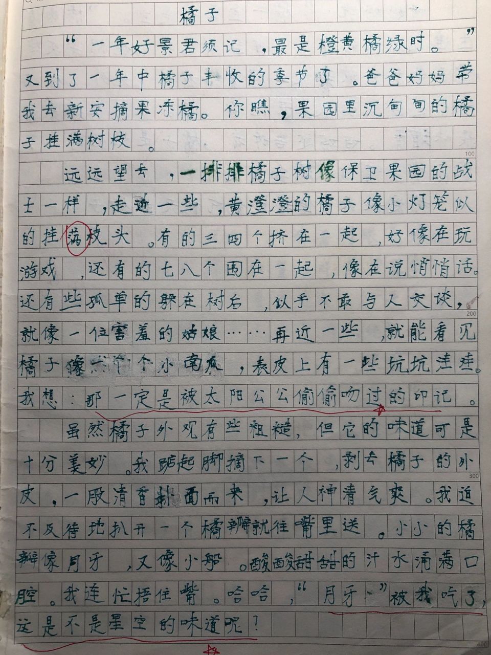 橘子三年级作文