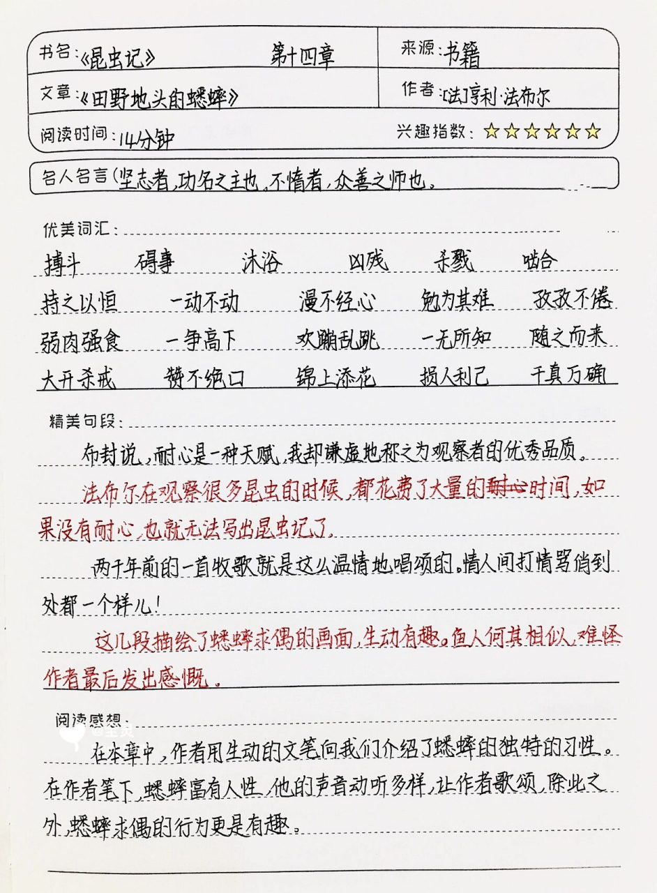 《昆虫记》读书笔记第十四章《田野地头的蟋蟀》 03全灵同款文具和