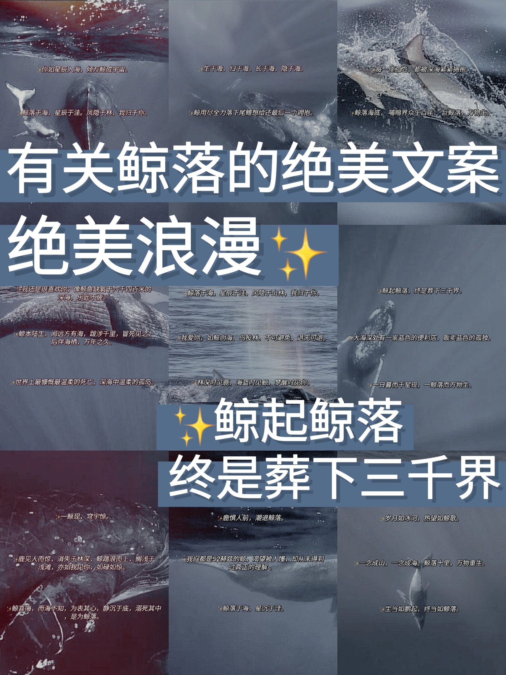 那些与鲸落有关的绝美句子78深邃浪漫  78我们都是52赫兹的鲸