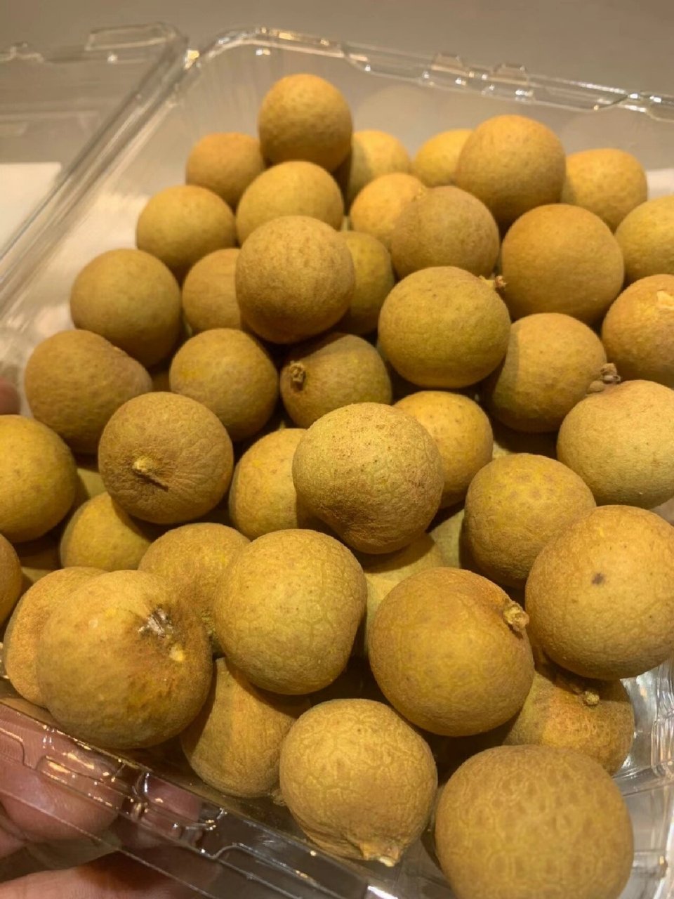 金果源泰国9593龙眼～xl尺寸 金果源泰国9593龙眼～ xl尺寸