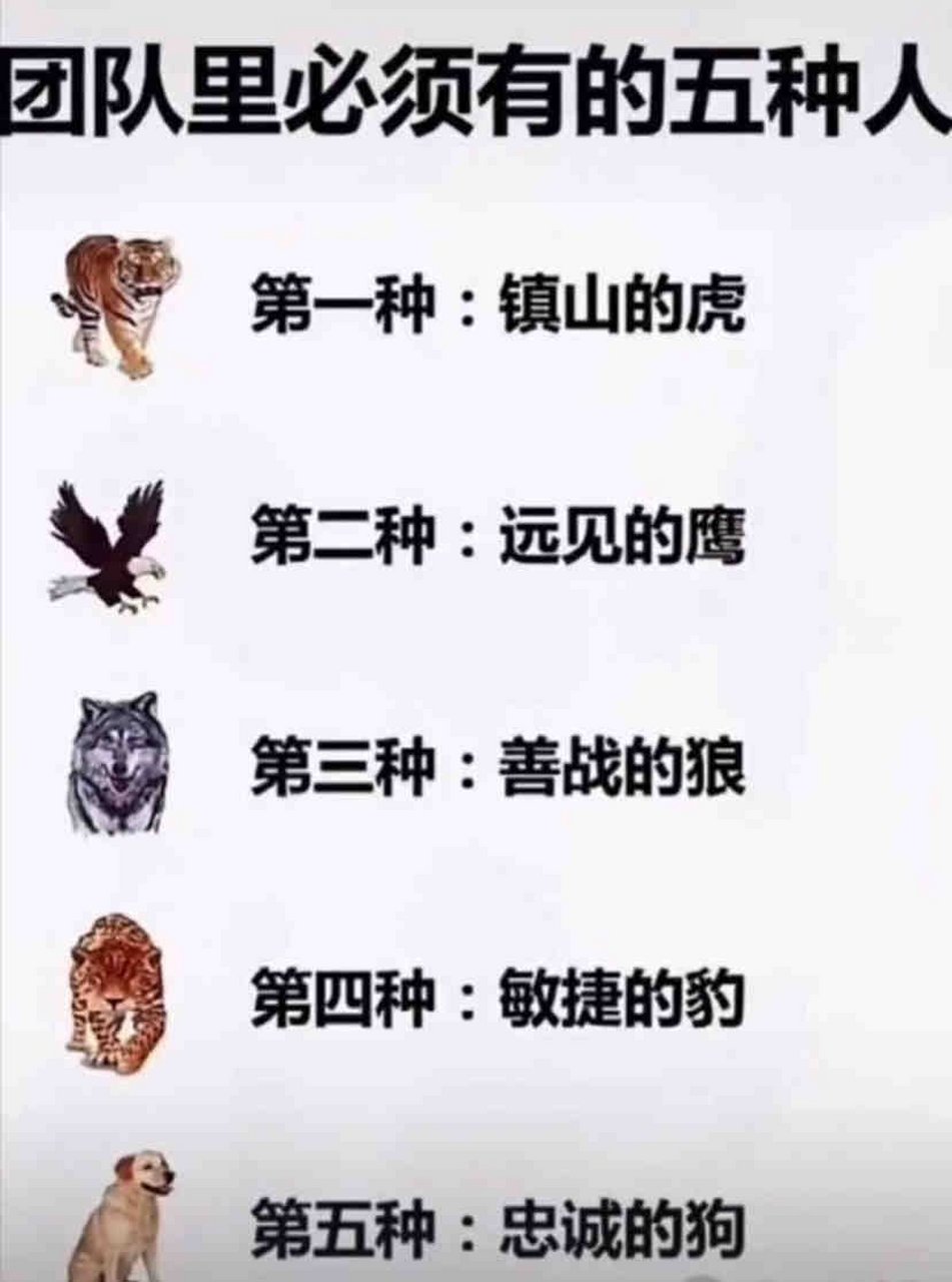 二哈关系图图片