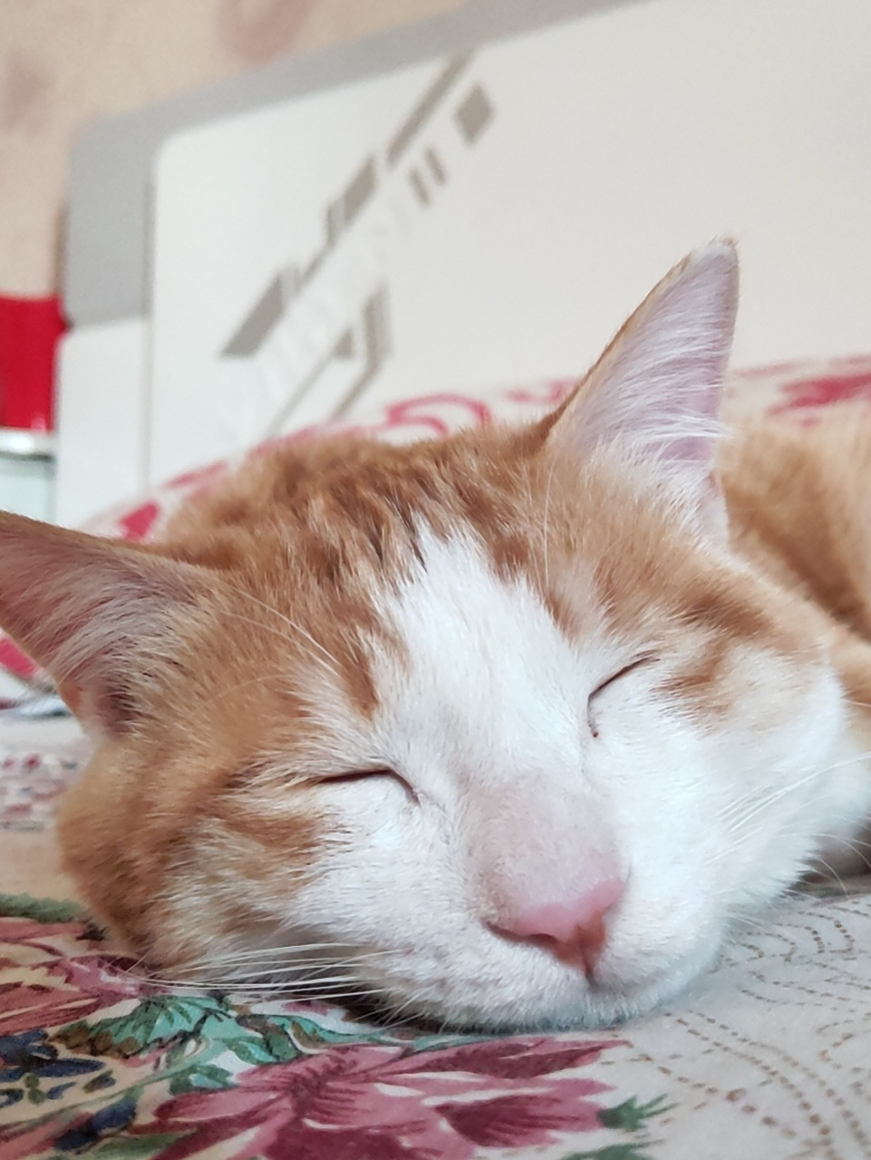 呕吐表情包来了哈哈哈哈哈哈