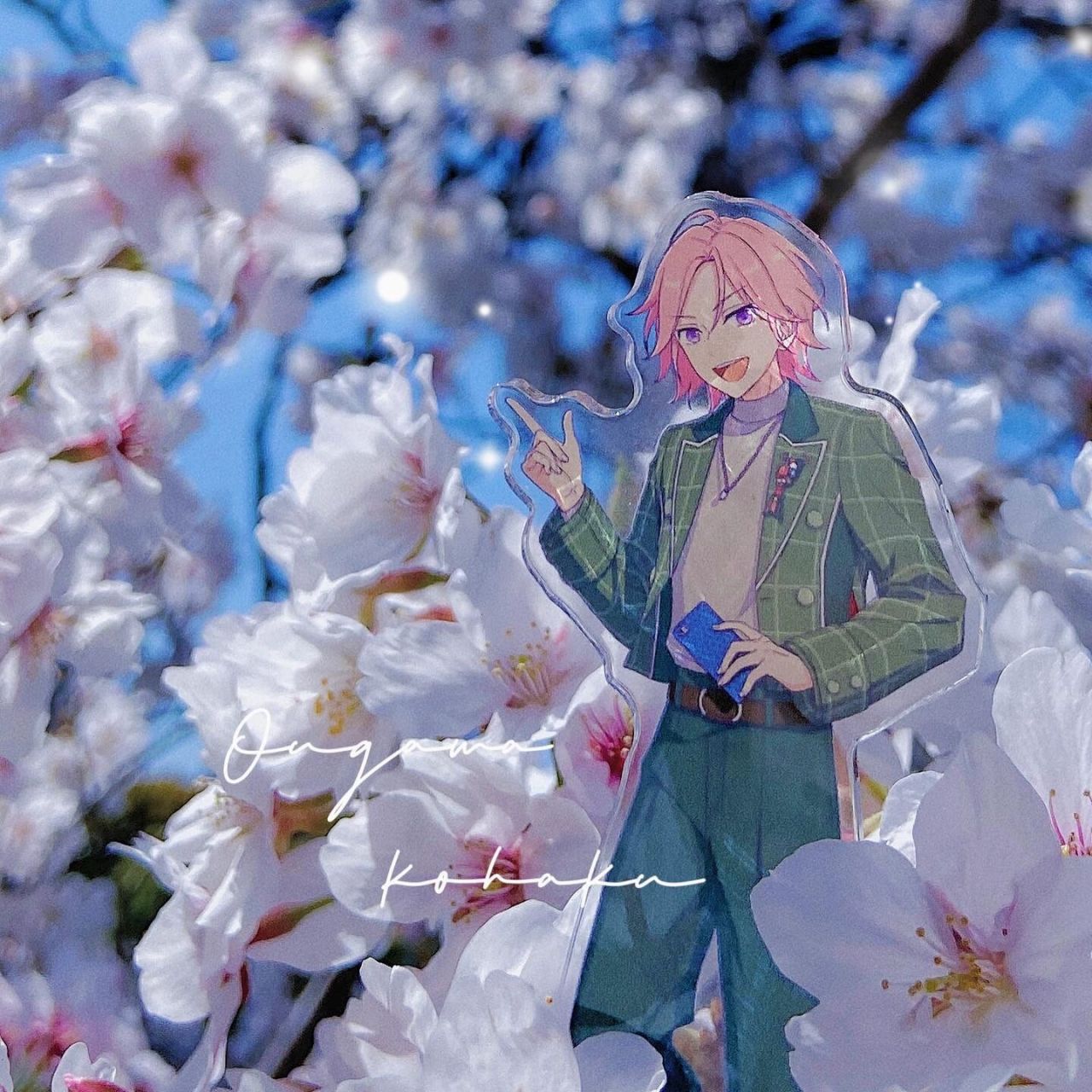 9494樱河琥珀9494 今年春天也去带着琥珀赏樱啦