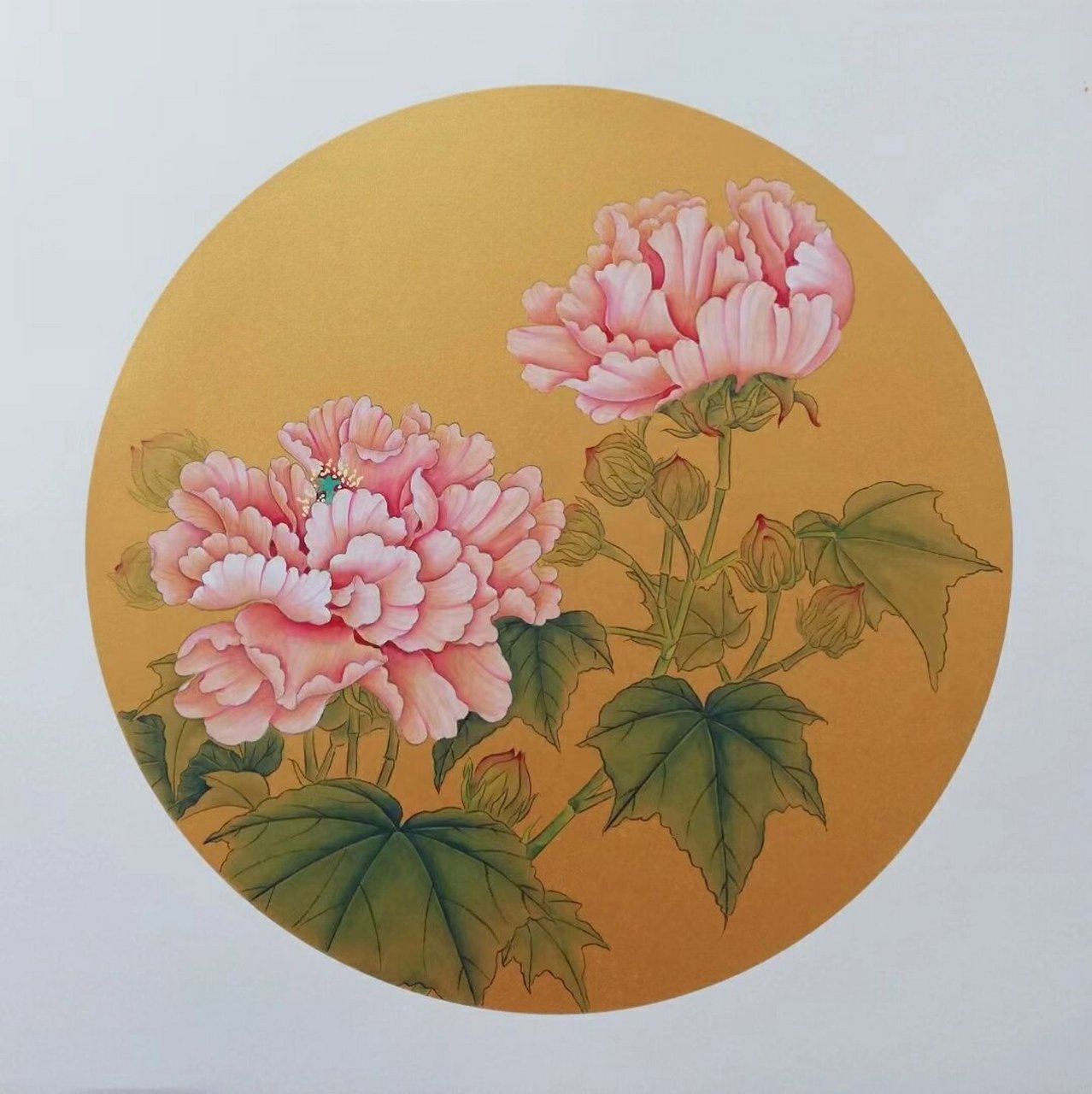 50*50圆形卡纸,国画工笔花鸟 工笔花鸟,小品