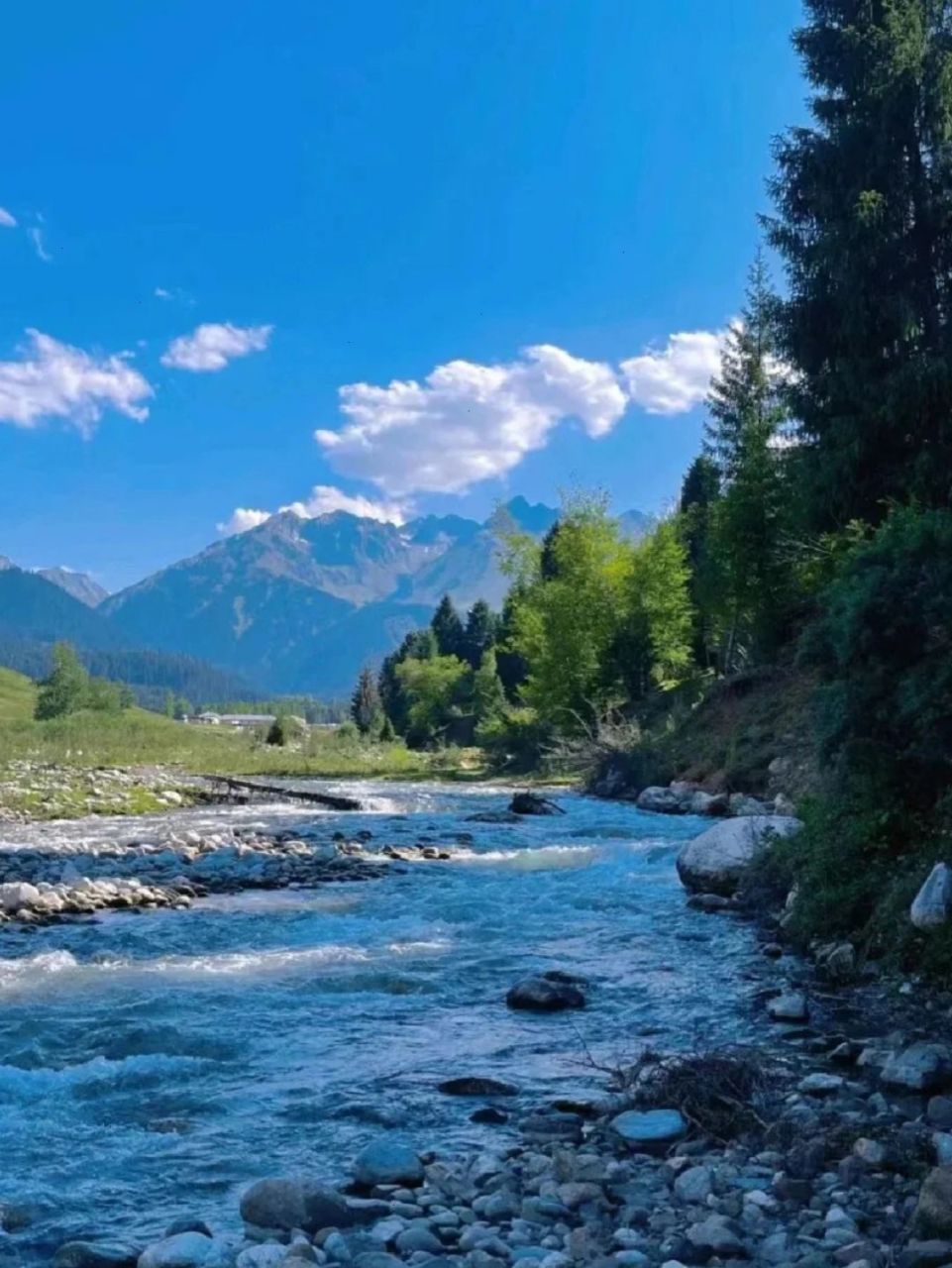 相比那拉提,恰西这个草原秘境简直封神95 92新疆zui美的夏天在